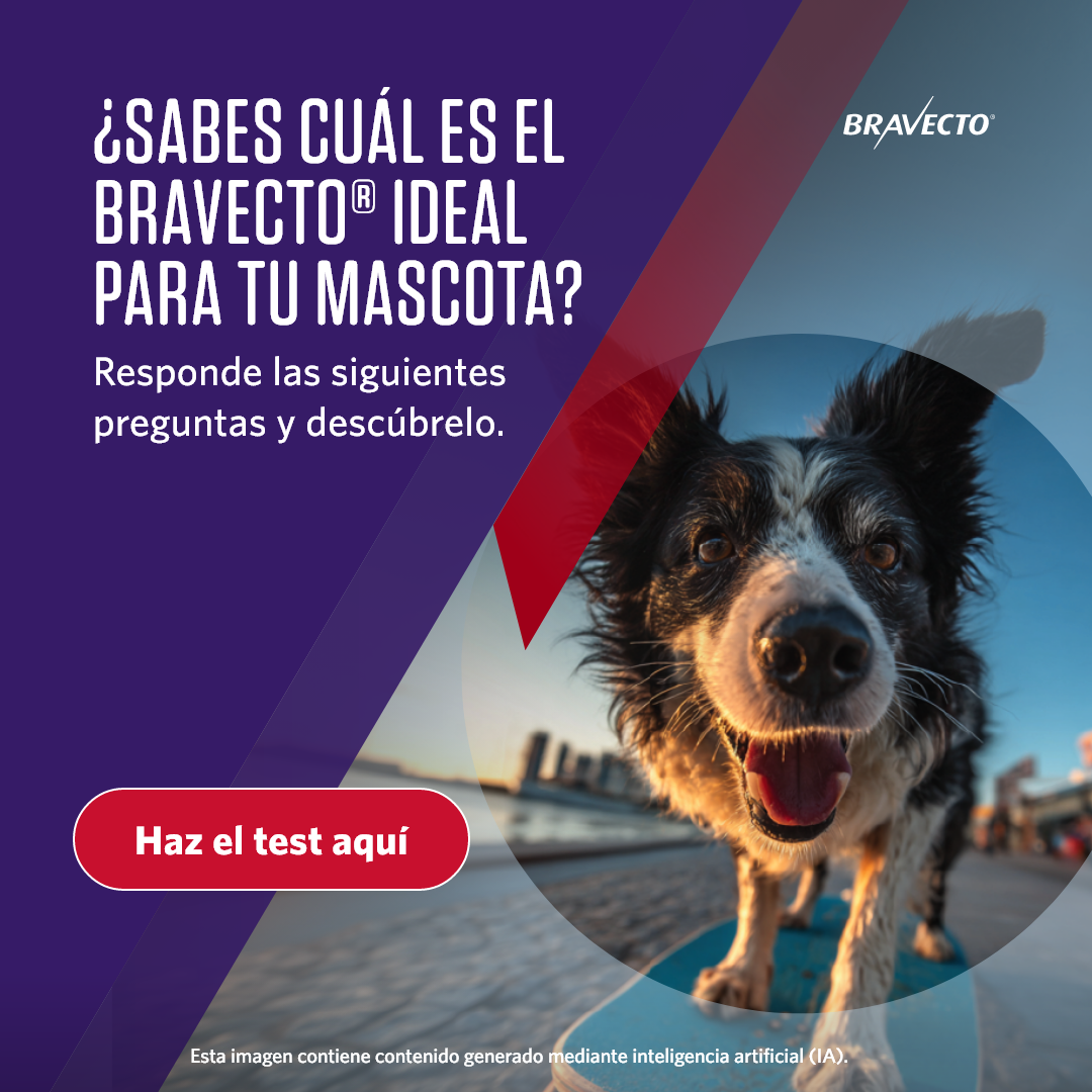 Bravecto LATAM Facebook ad