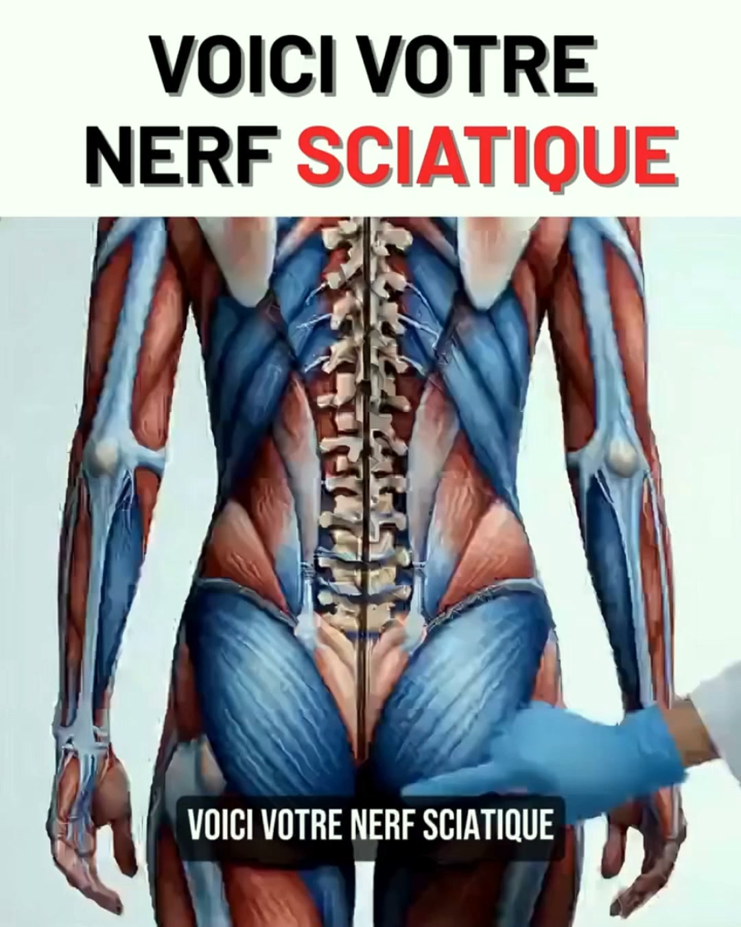 Serena Facebook ad: Ce que votre orthopédiste ne vous dira jamais!