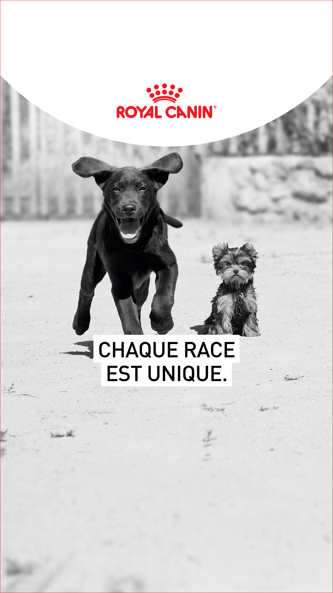 Royal Canin Facebook ad