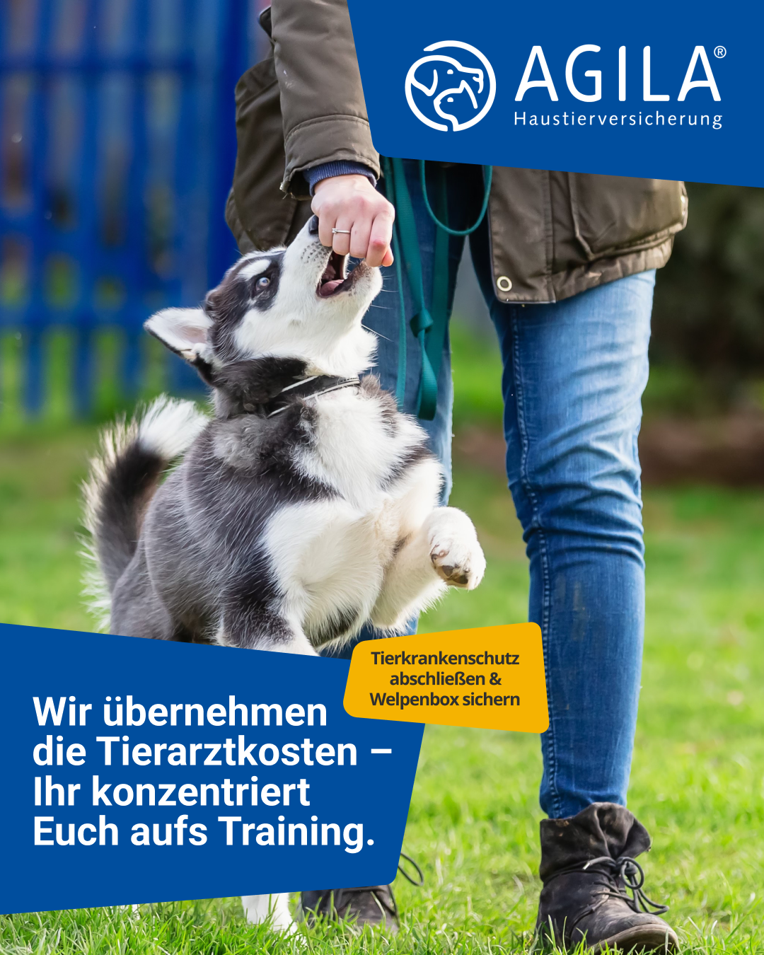 AGILA Haustierversicherung Facebook ad