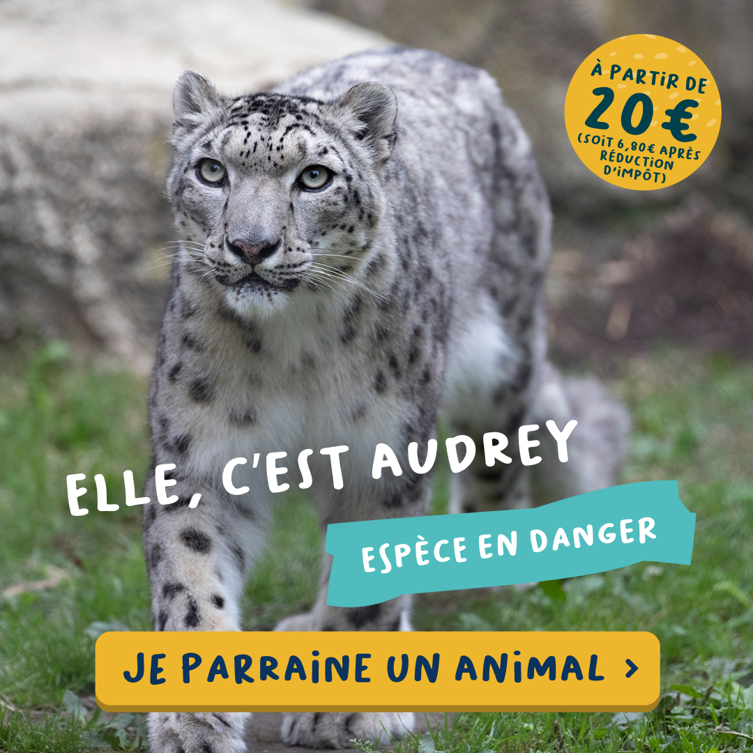 Beauval Nature Facebook ad: Parrainer un animal