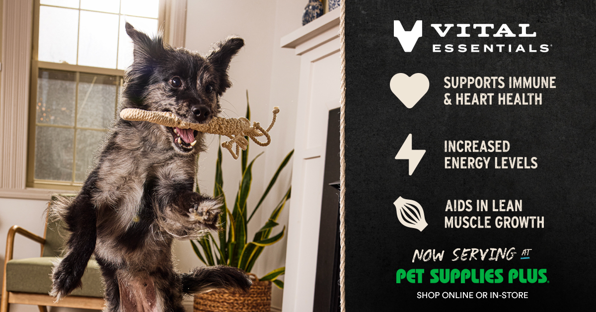 Vital Essentials Facebook ad from Sep 15, 2026