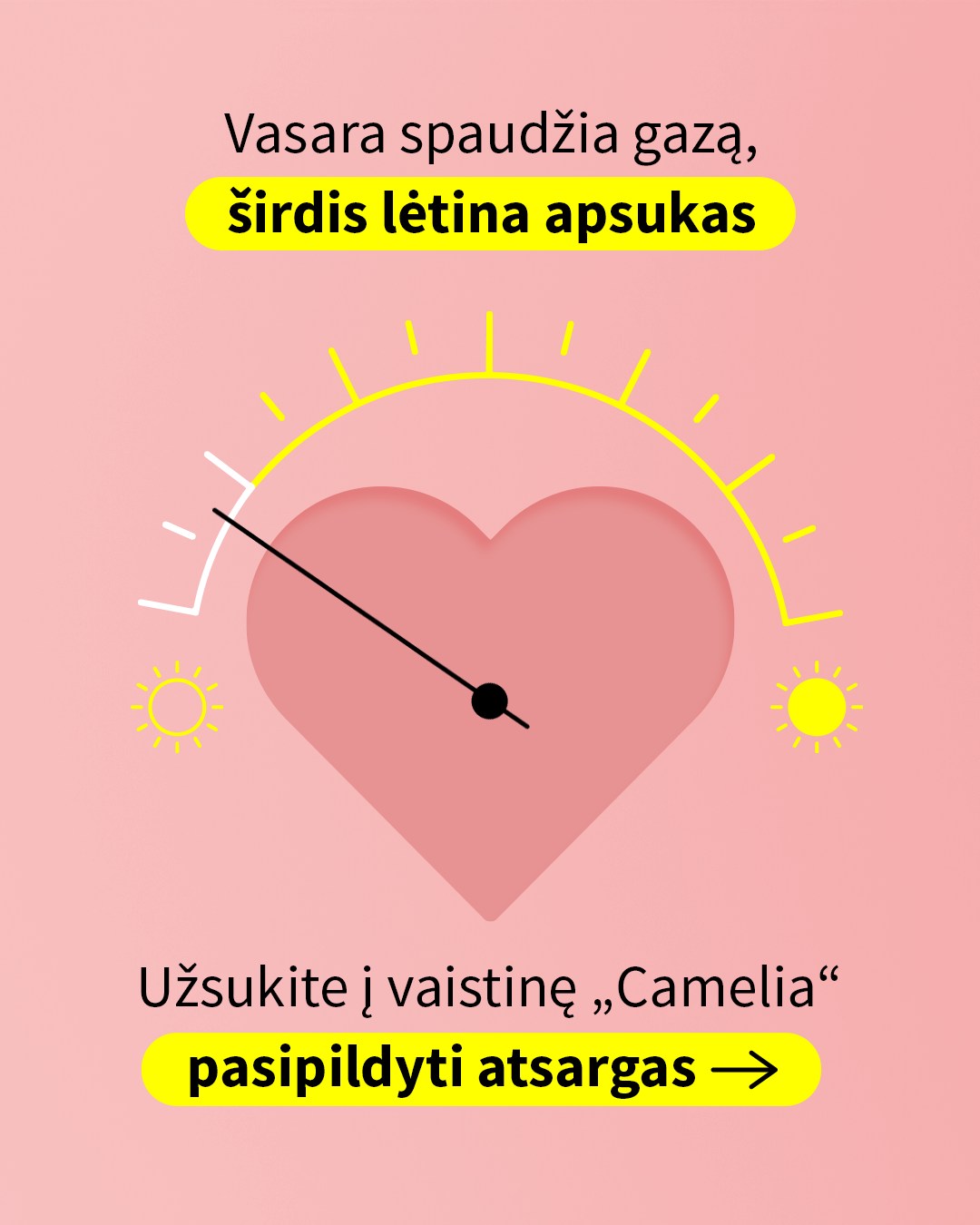„Camelia“ vaistinė Facebook ad