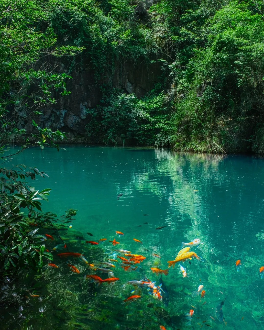 Discover Zhejiang Facebook ad