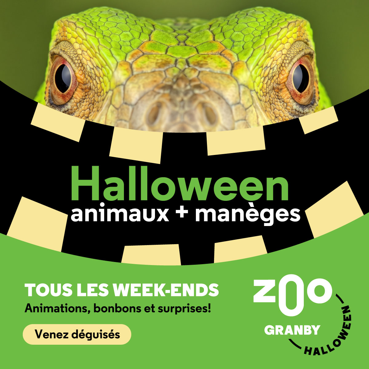 Zoo de Granby Facebook ad: Visite au Zoo