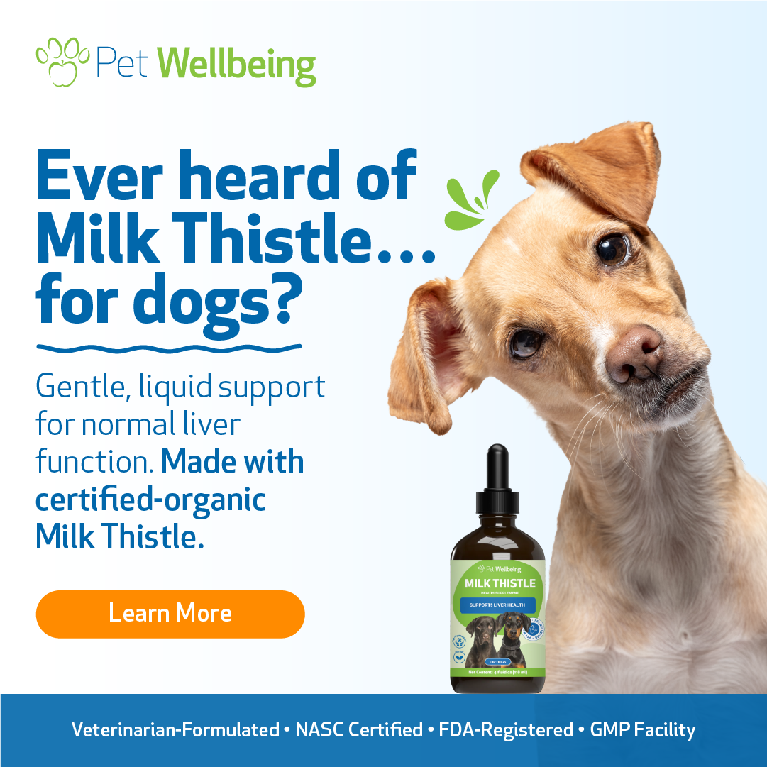 Pet Wellbeing Facebook ad