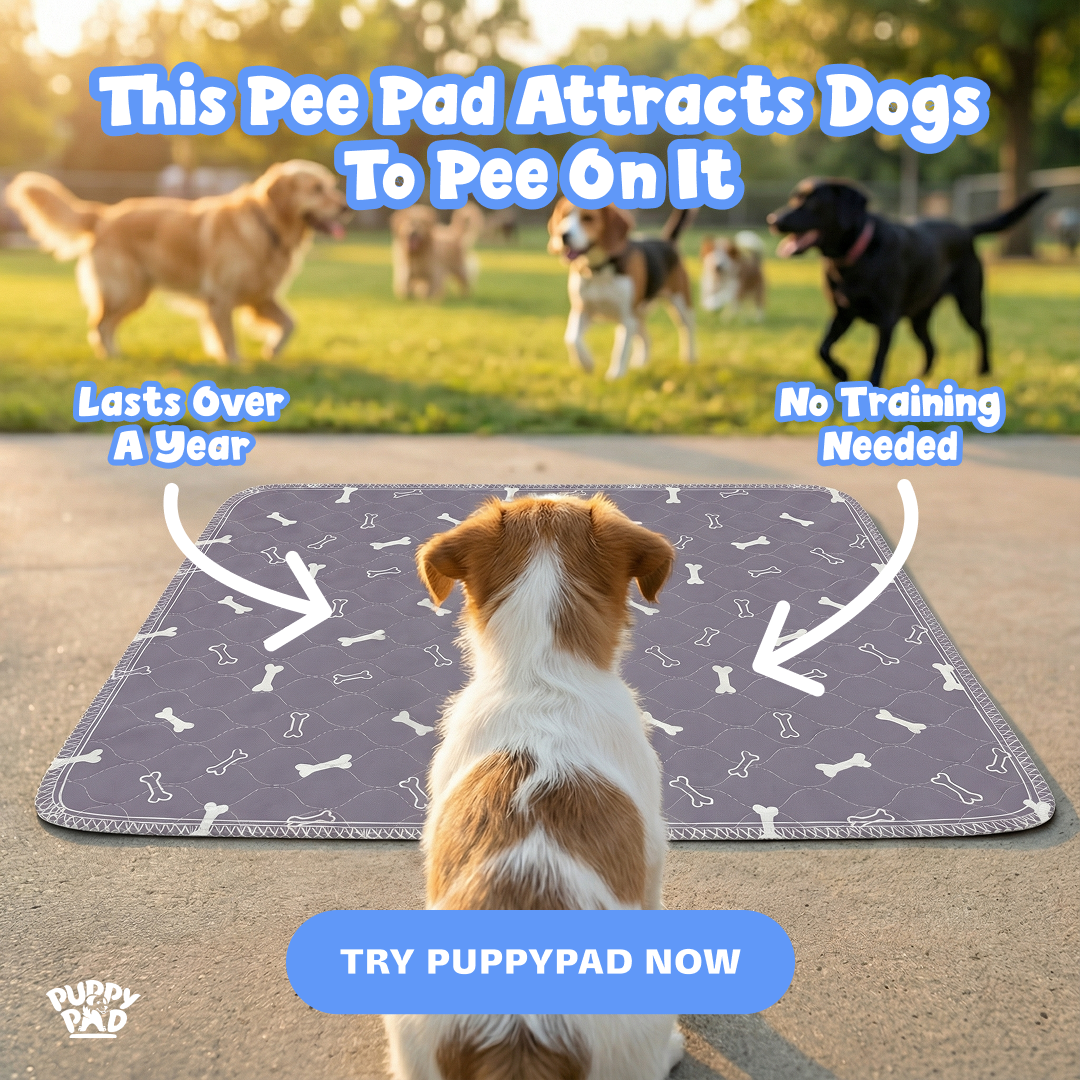 PuppyPad Facebook ad