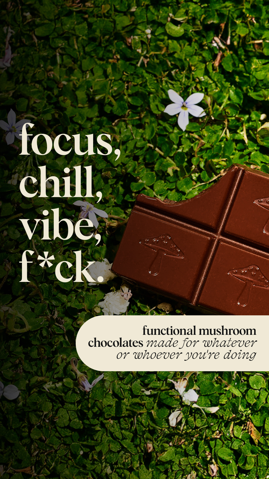 Alice Mushrooms Facebook ad