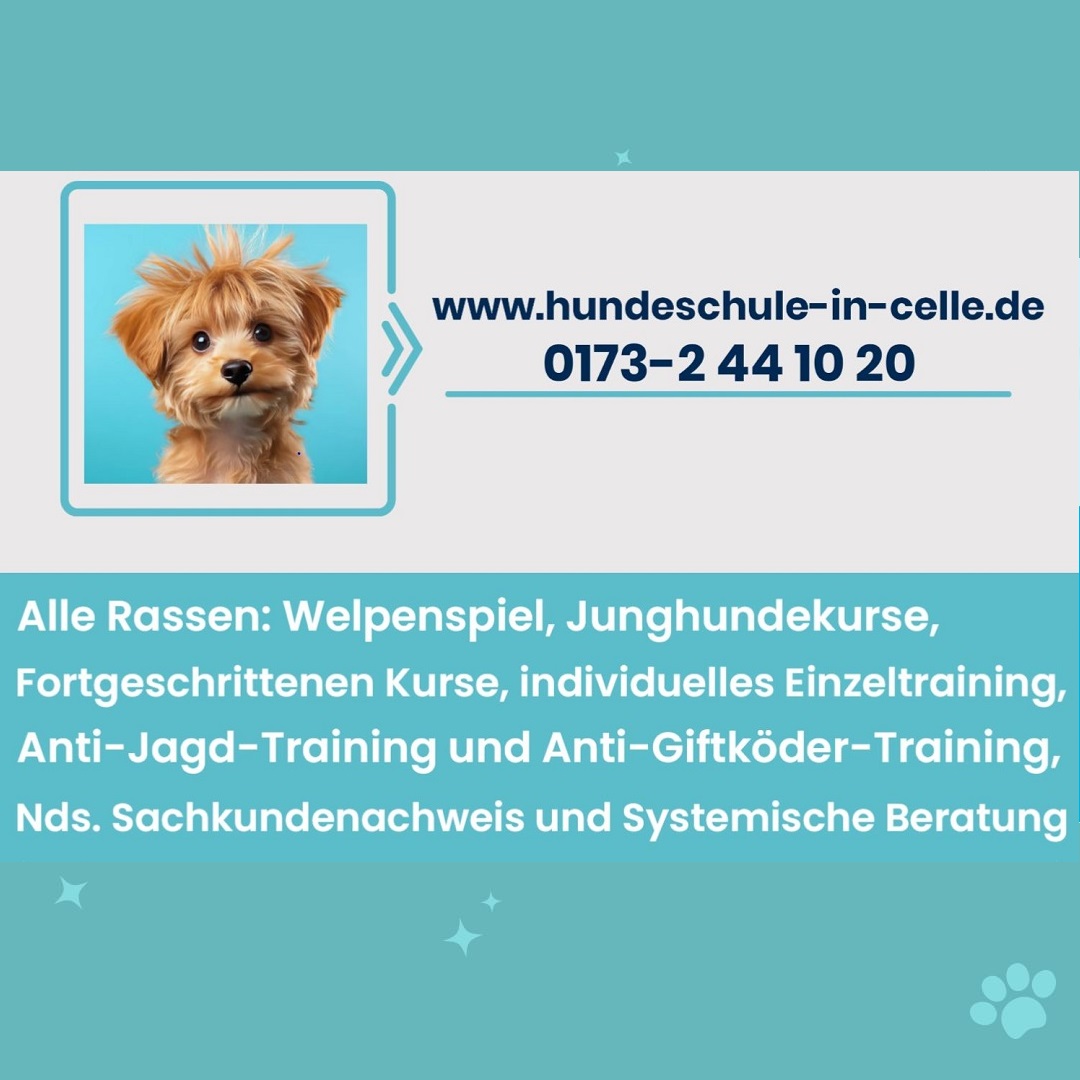 Hundeschule in Celle Facebook ad from Apr 28, 2026