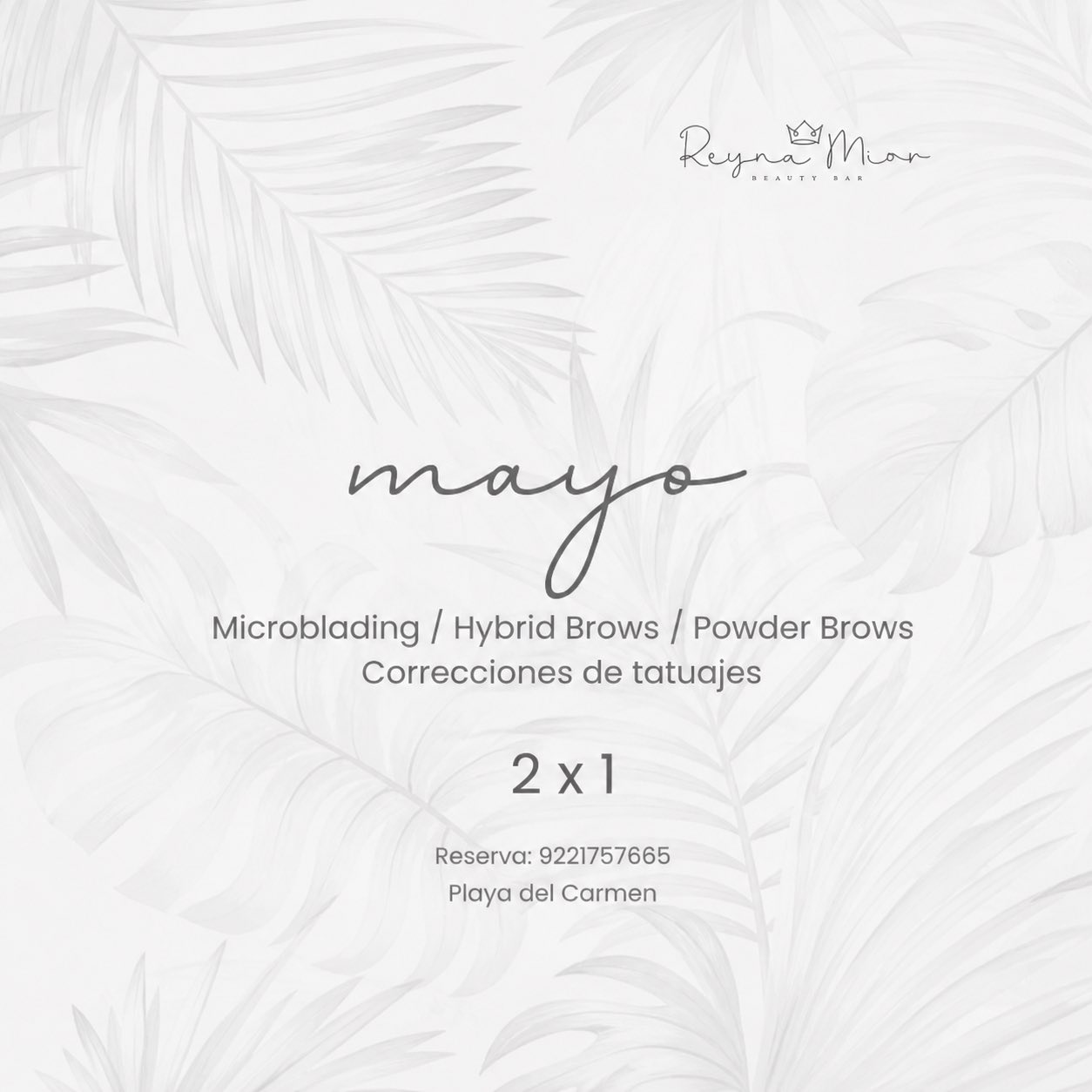 Reyna Mior Beauty Bar Facebook ad: BROWS ON POINT