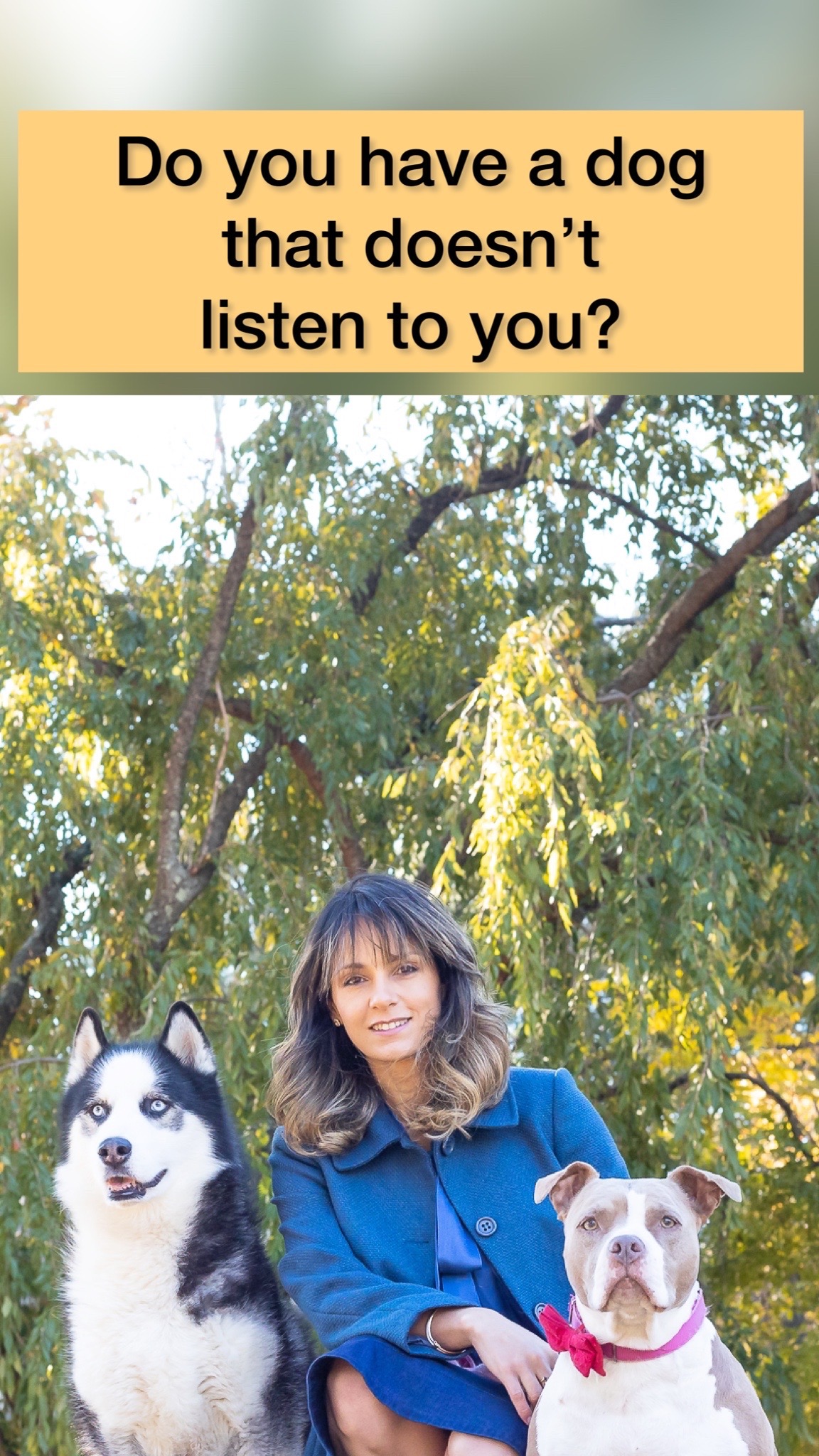 The Balanced K-9 - Dog Training & Behavior Modification Facebook ad from Sep 4, 2025