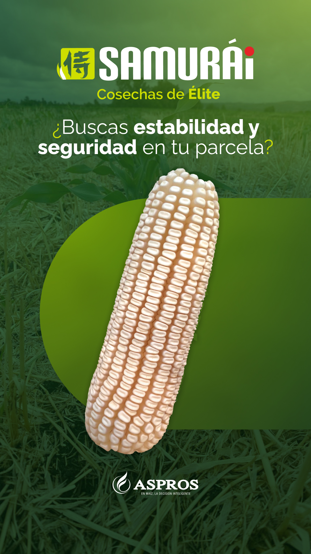 Aspros Semillas Facebook ad