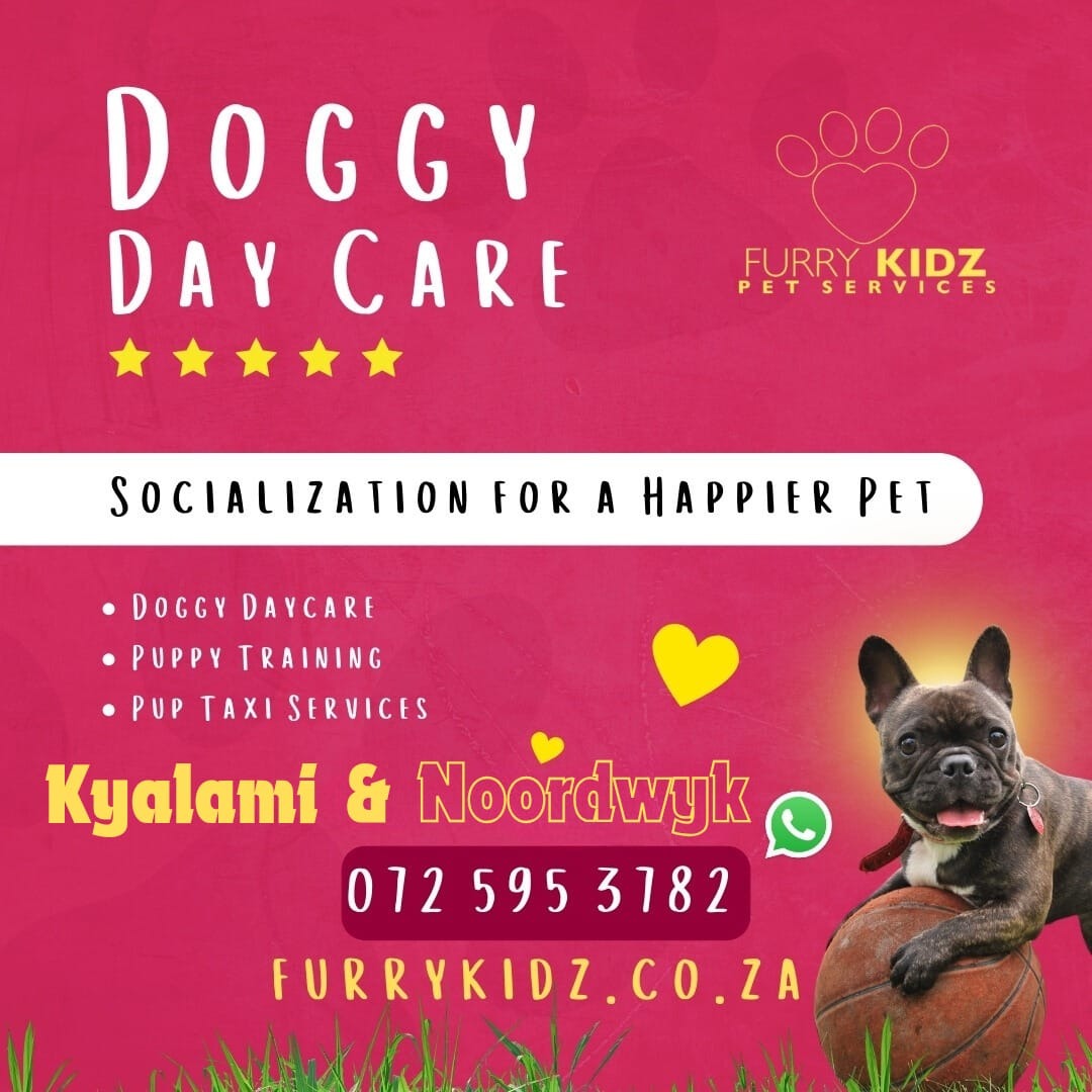 Furry Kidz Pet services Facebook ad: Tail-Wagging Fun Awaits at FurryKidz Doggy Daycare!