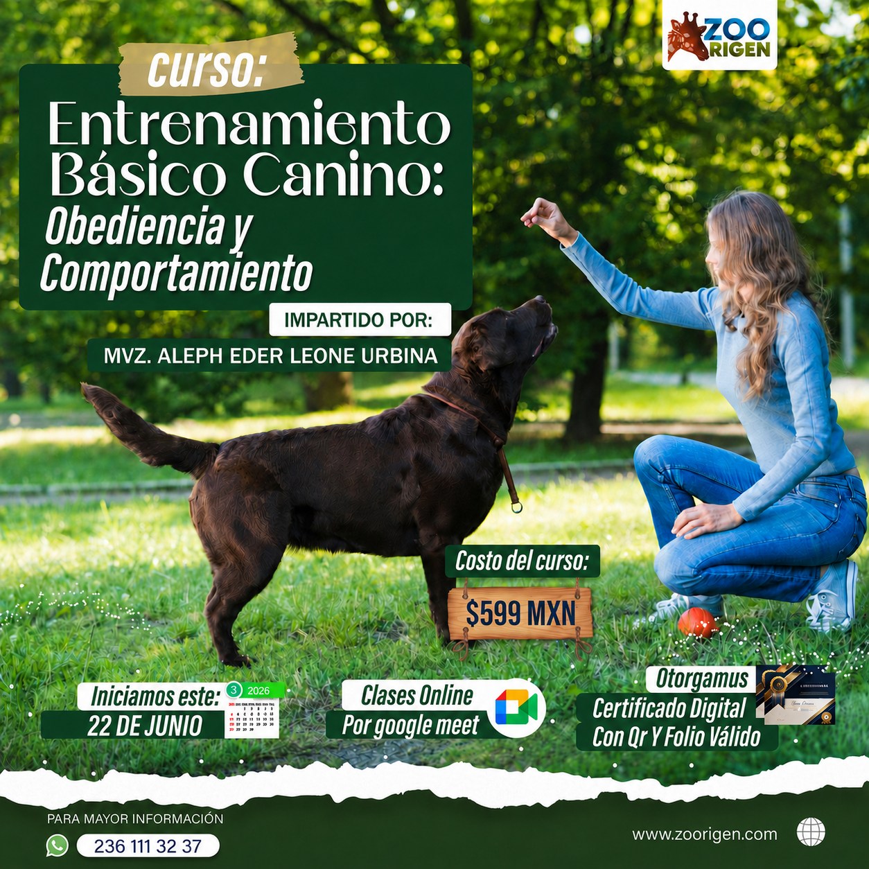 Zoorigen Facebook ad: Obediencia Canina: Entrenamiento para un Comportamiento…