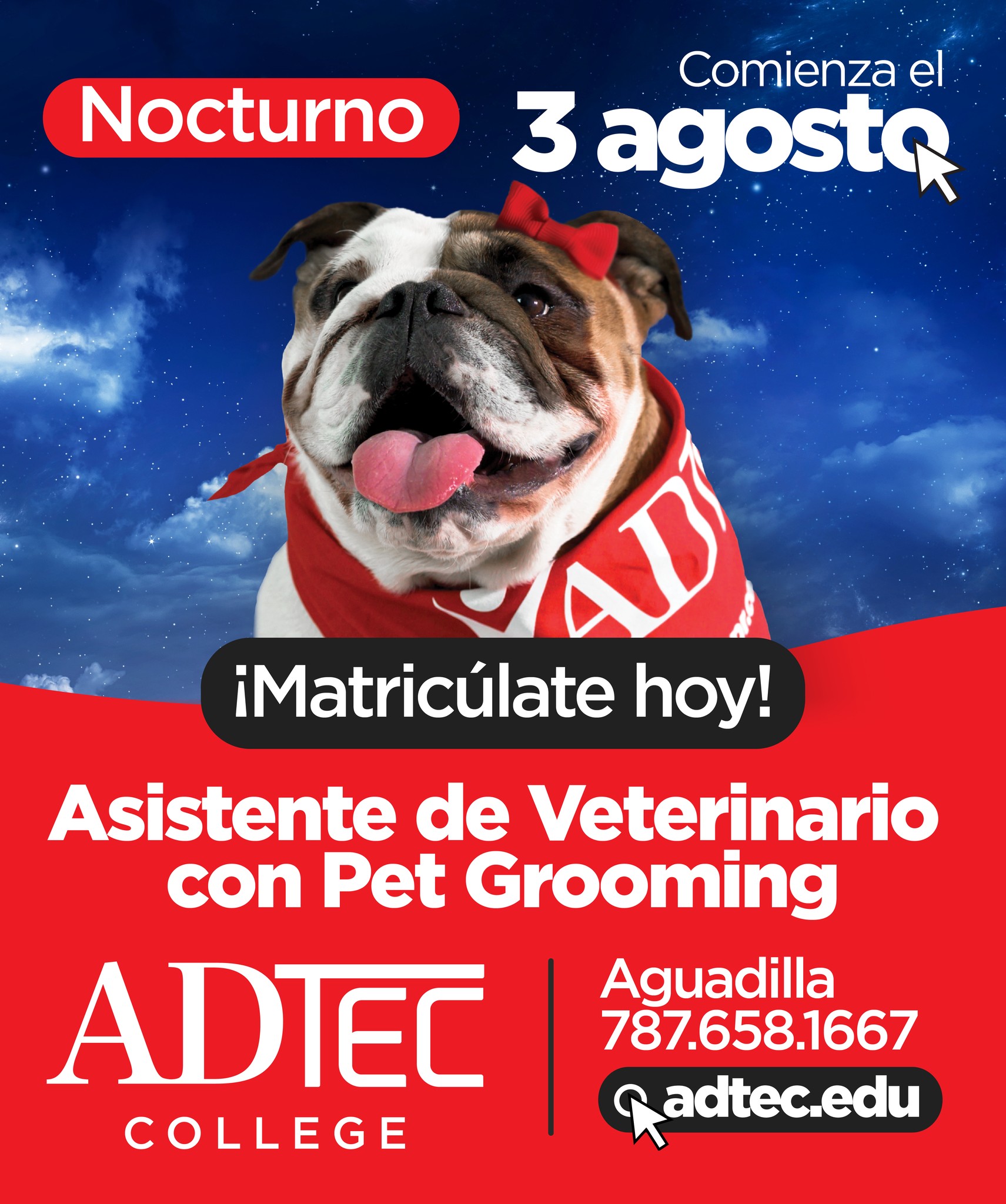 Adtec College Facebook ad
