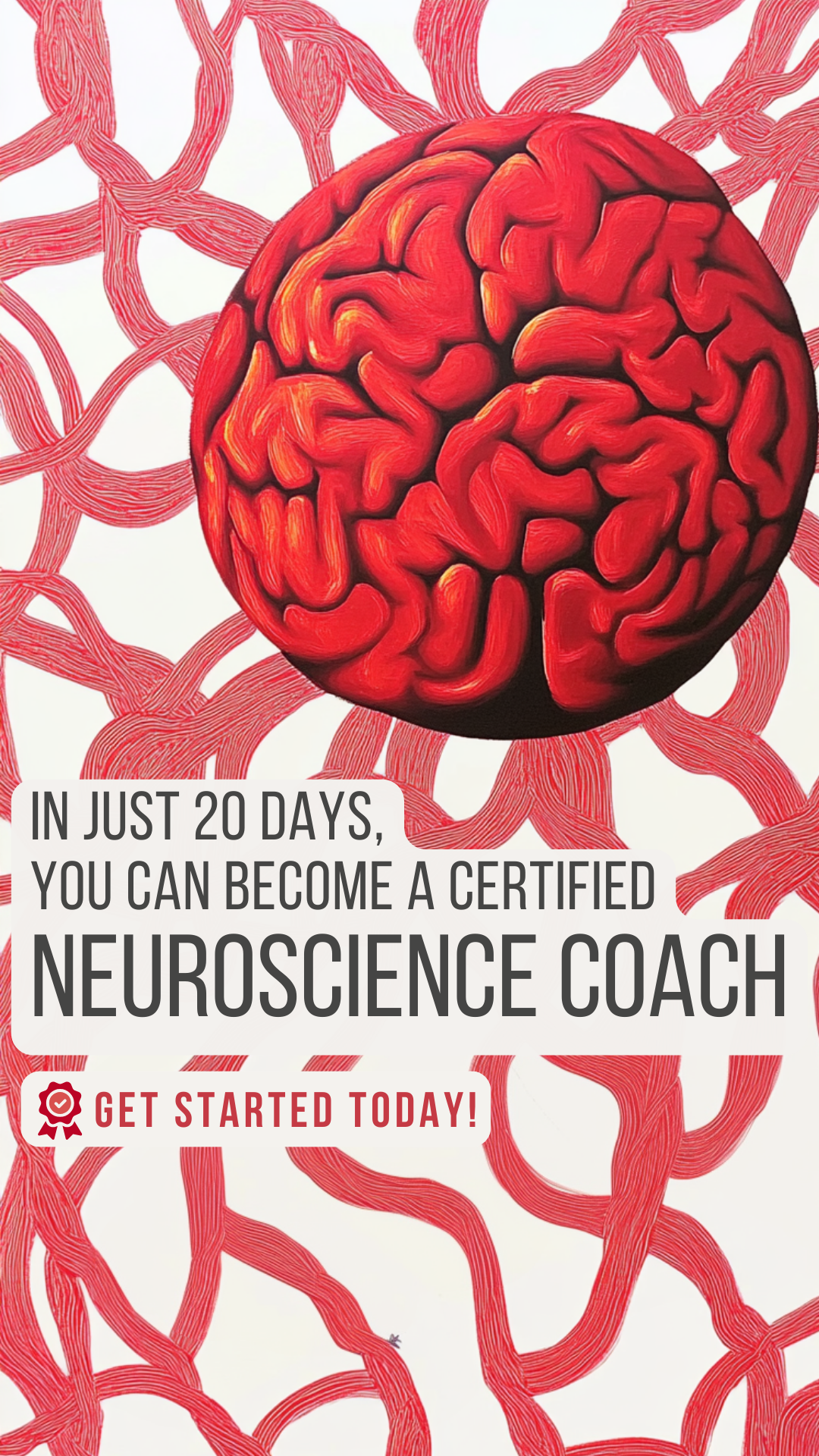 Efficient Coach Facebook ad
