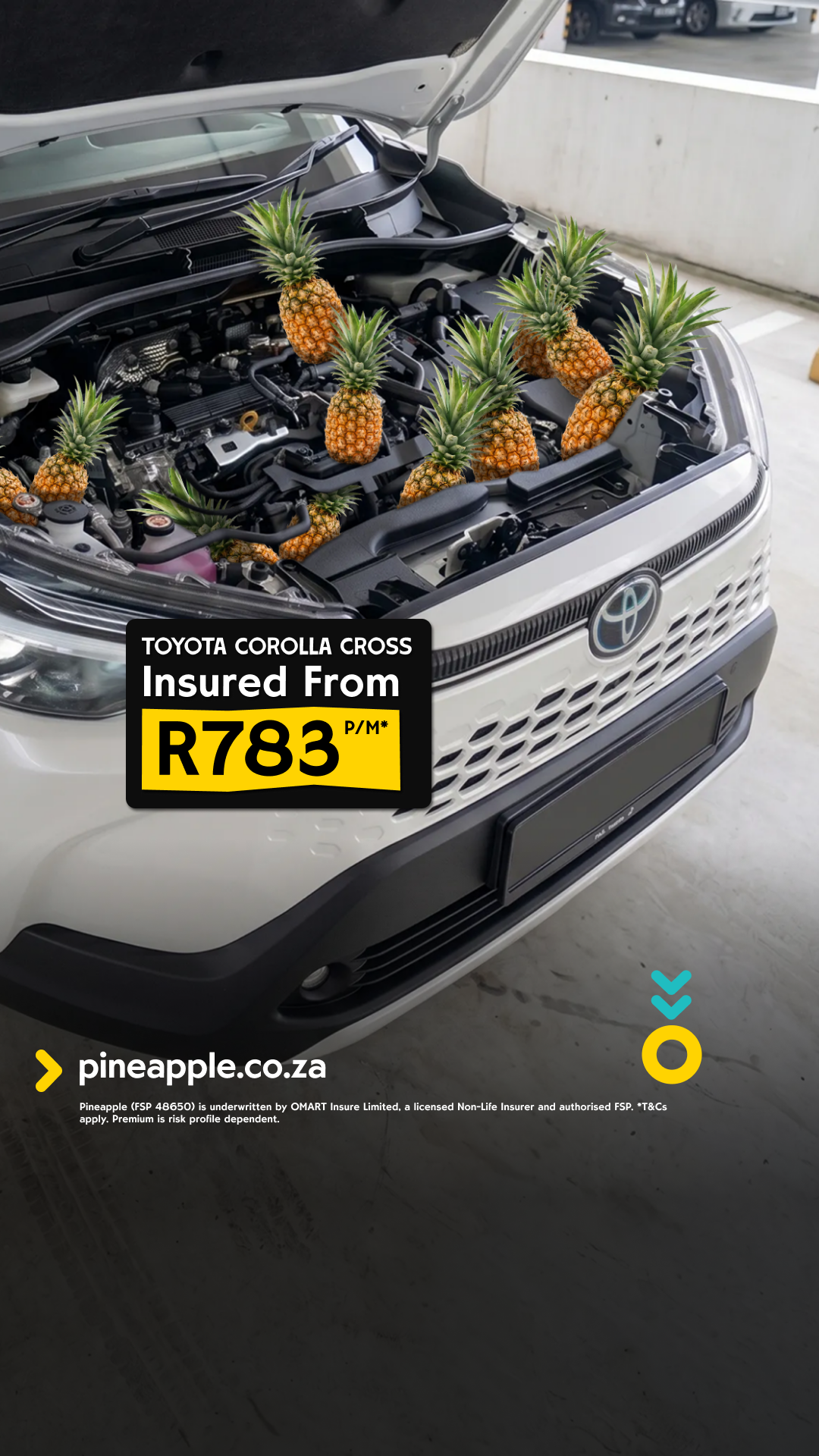 Pineapple Facebook ad