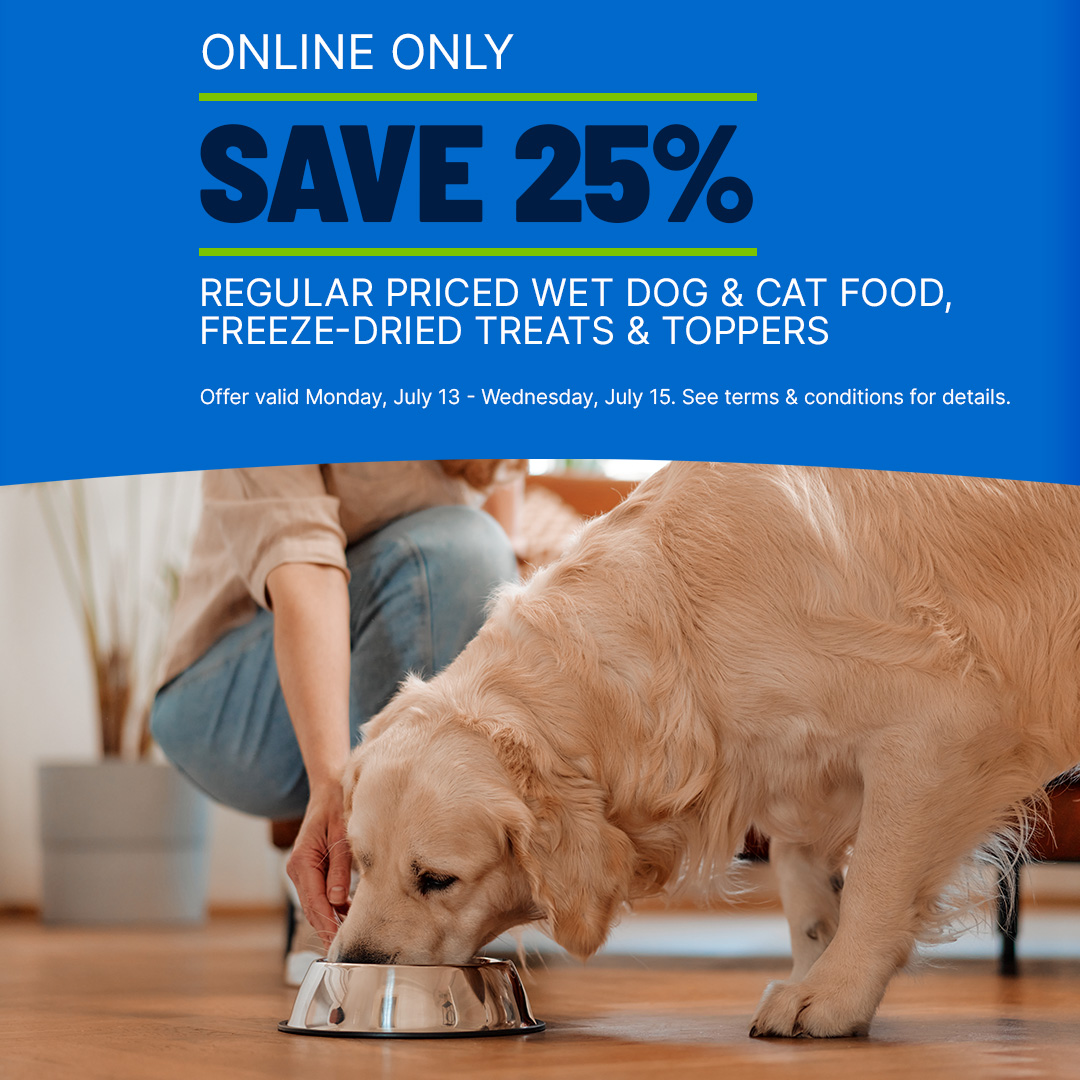 REN'S PETS Facebook ad