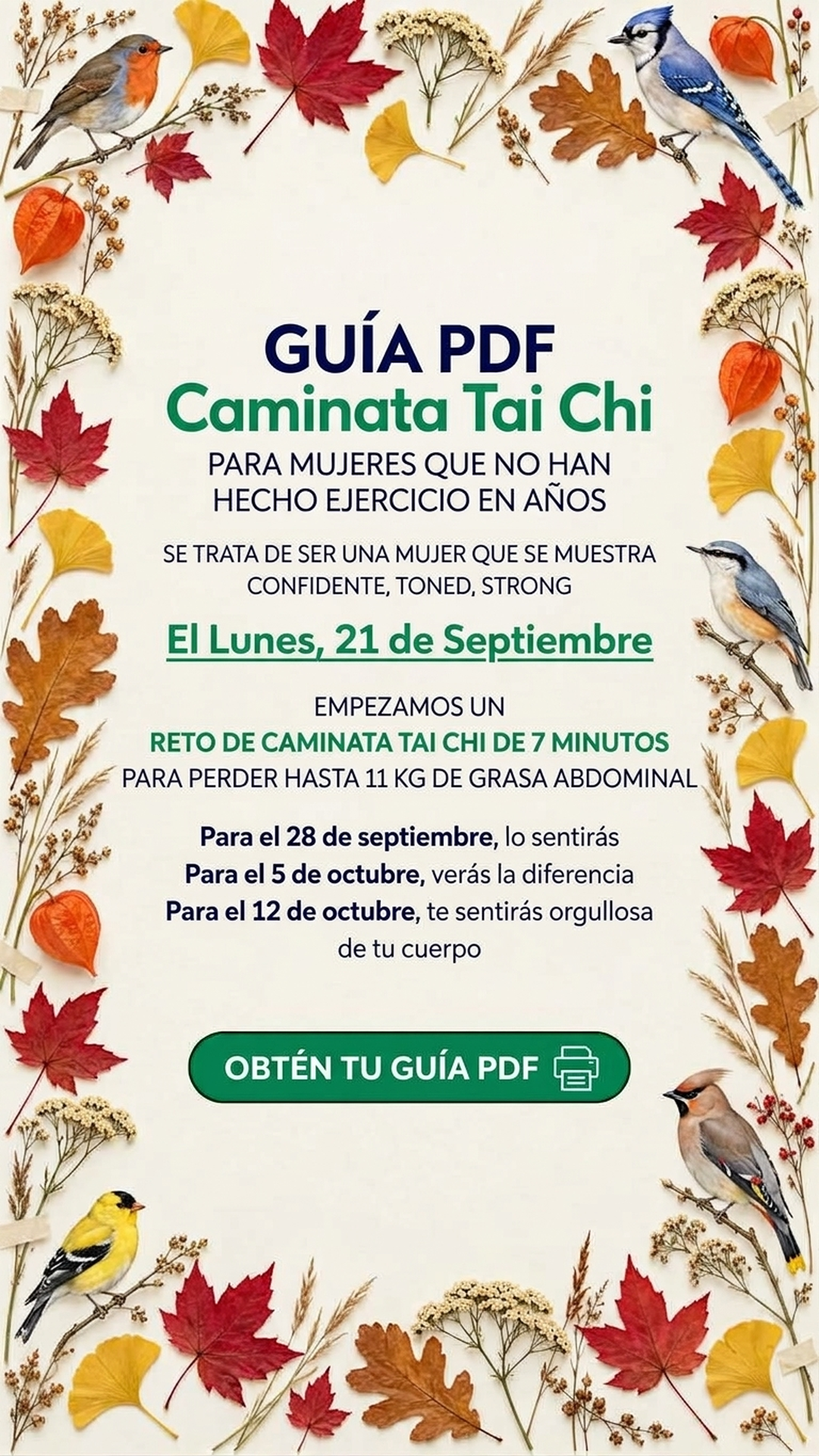 WalkFit Paso a Paso Facebook ad