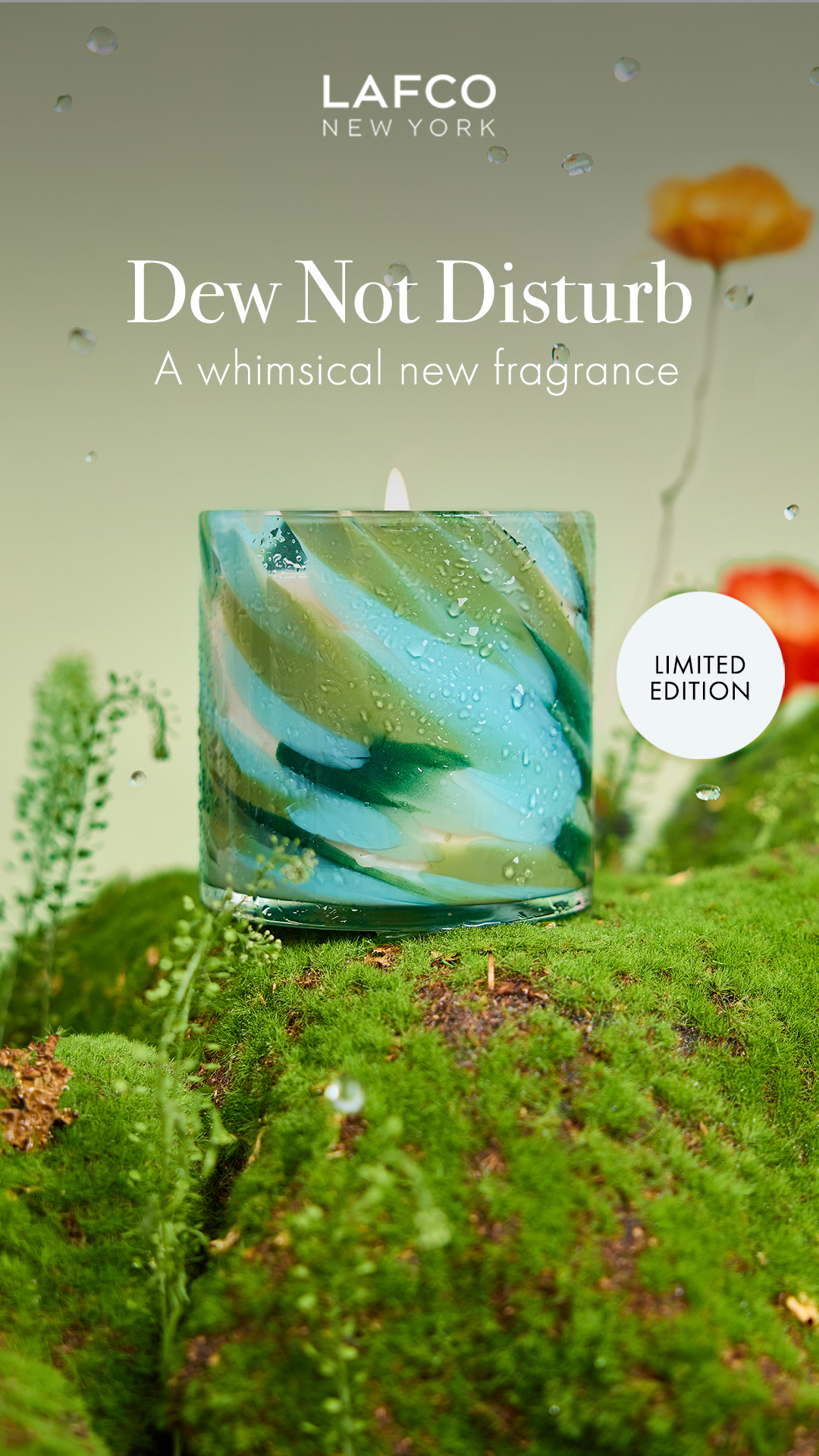 LAFCO New York Facebook ad
