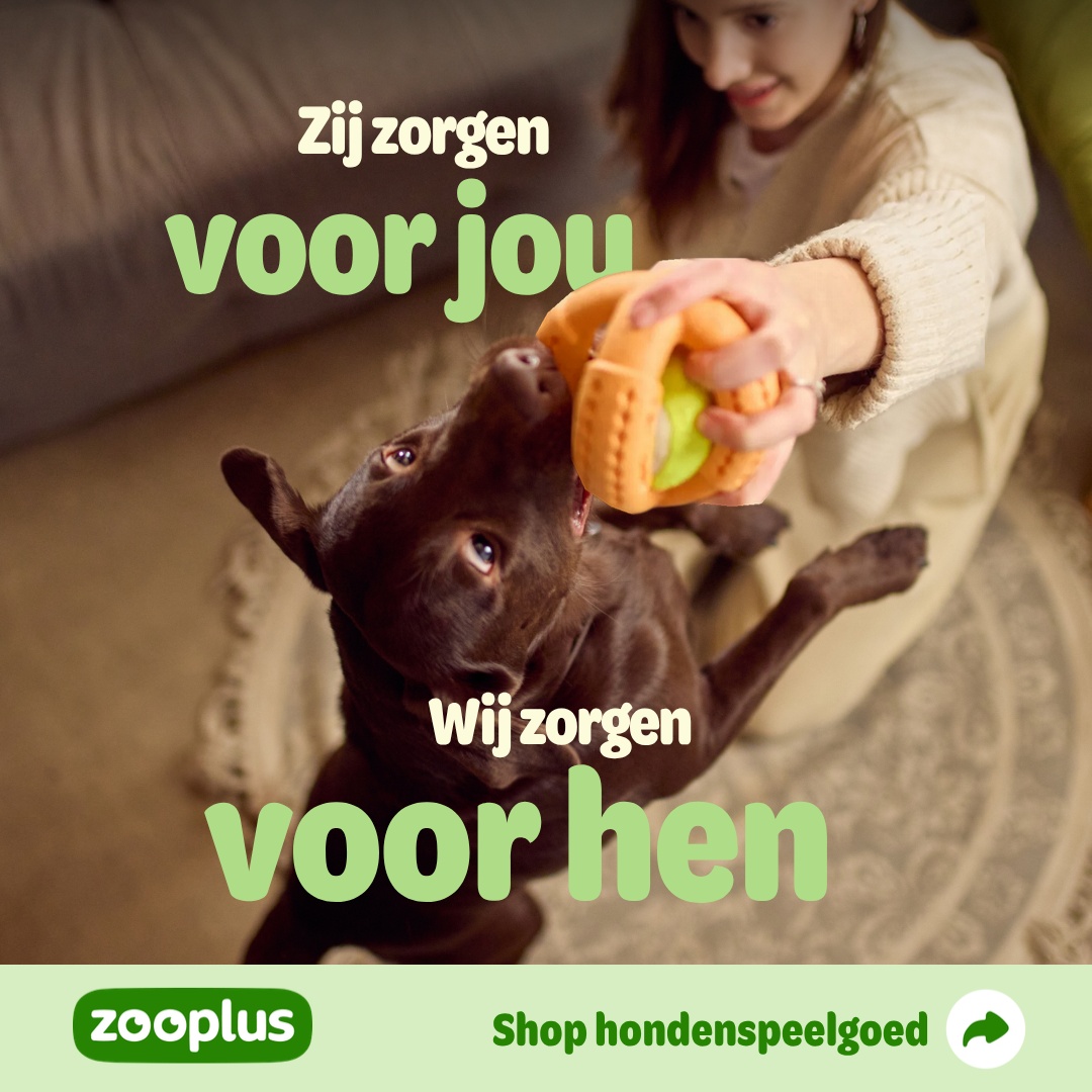 zooplus Facebook ad: Hondenspeelgoed Selecteer uit 736 producten.