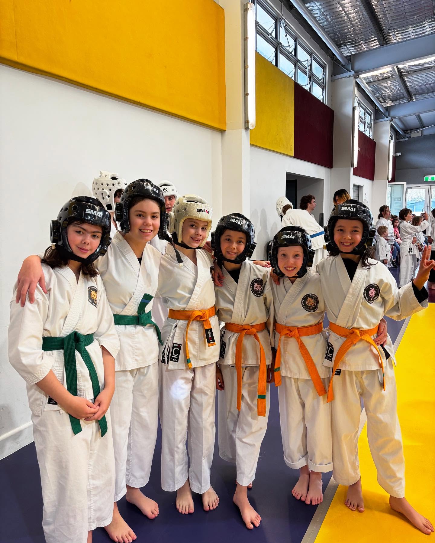 Tiger Martial Art Academy Facebook ad