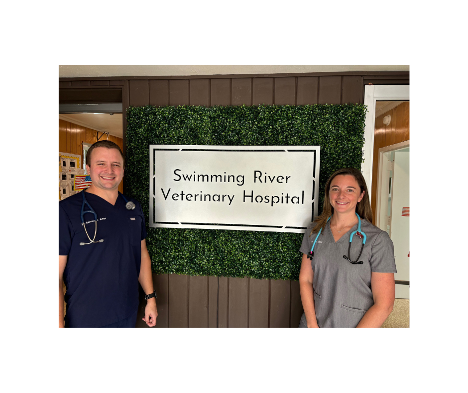 Swimming River Veterinary Hospital Facebook ad: Swimming River Veterinary Hospital - Veterinarian in,