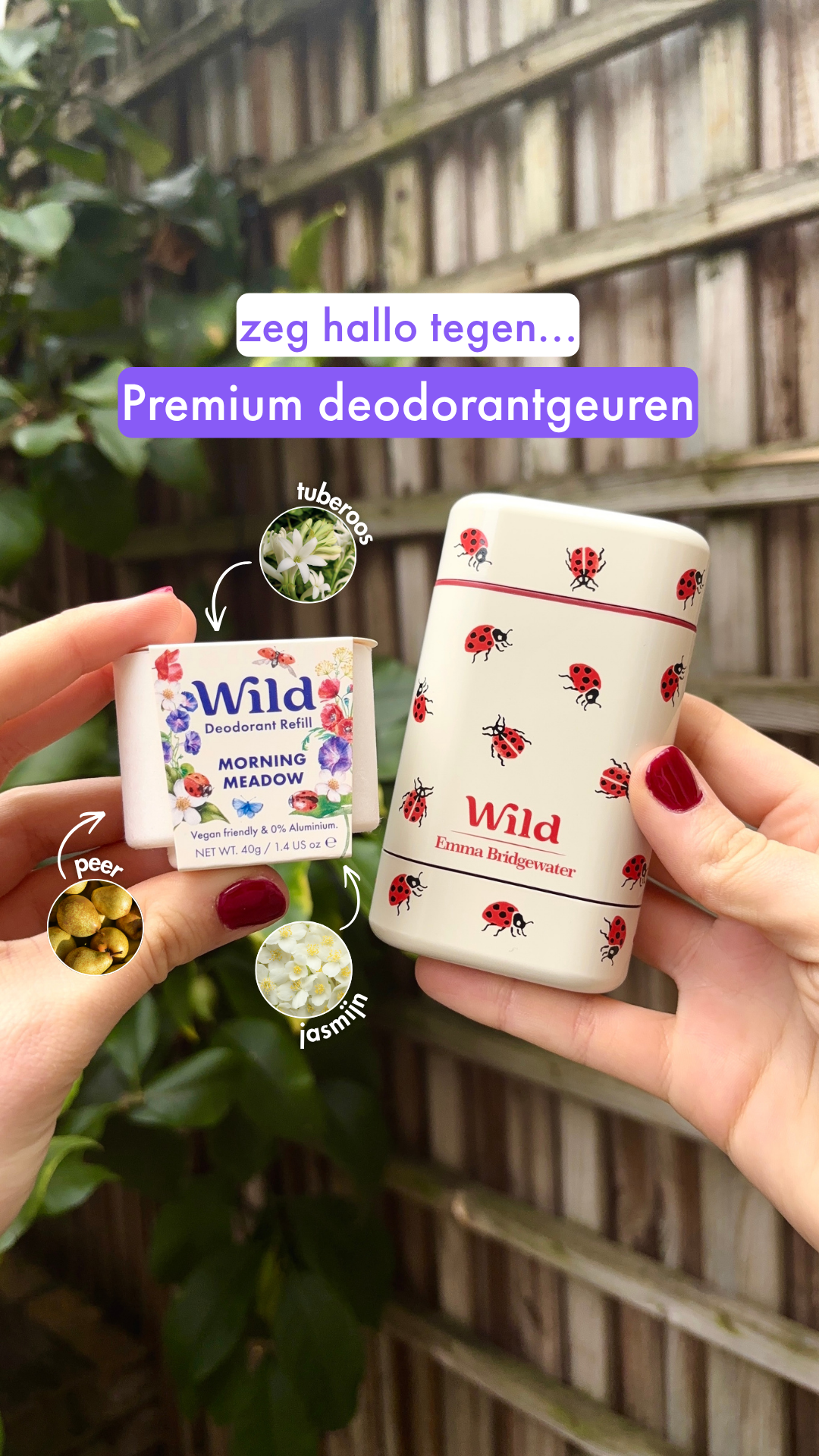 Wild Facebook ad: De limited edition lieveheersbeestje case en Morning…