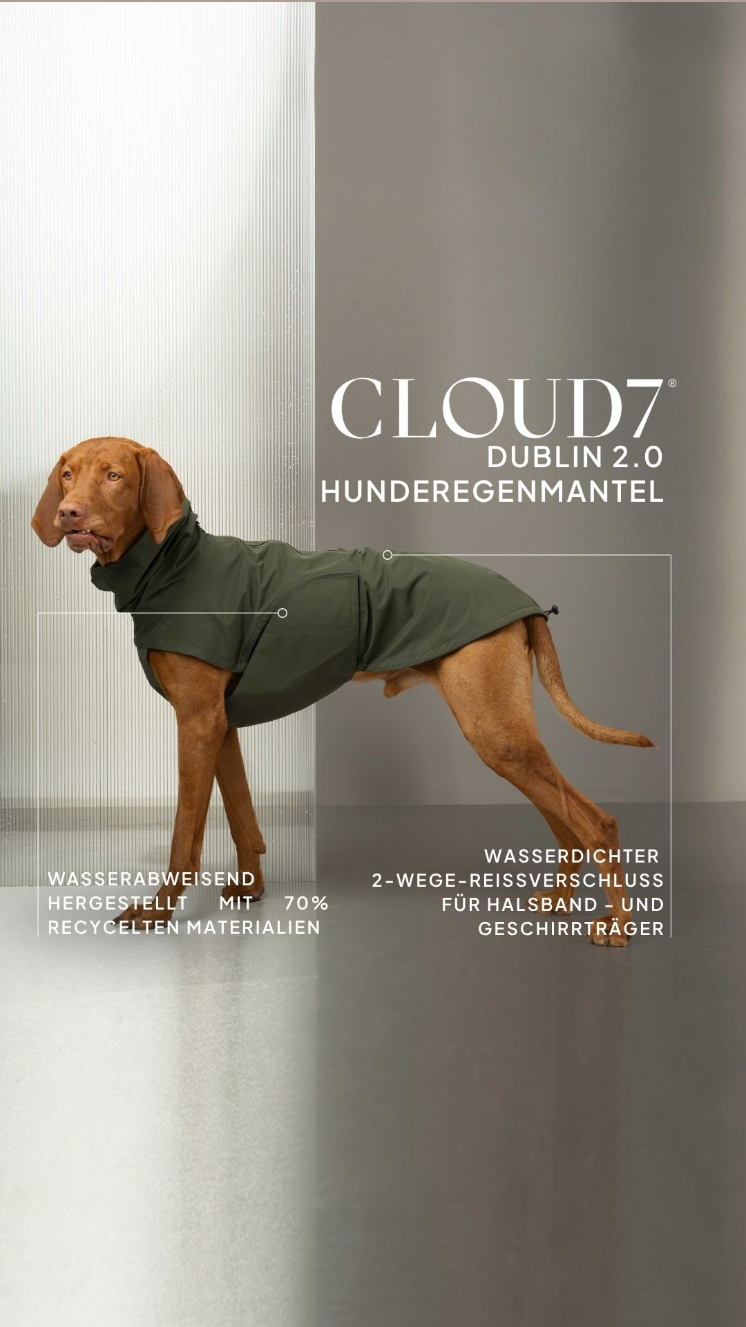 Cloud7 Facebook ad: Wetterfest für jeden Hund