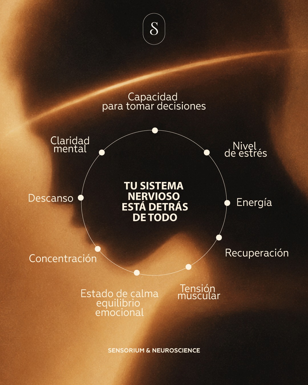 Sinarah Facebook ad: Sinarah • Neurociencia • Relajación • Masajes…