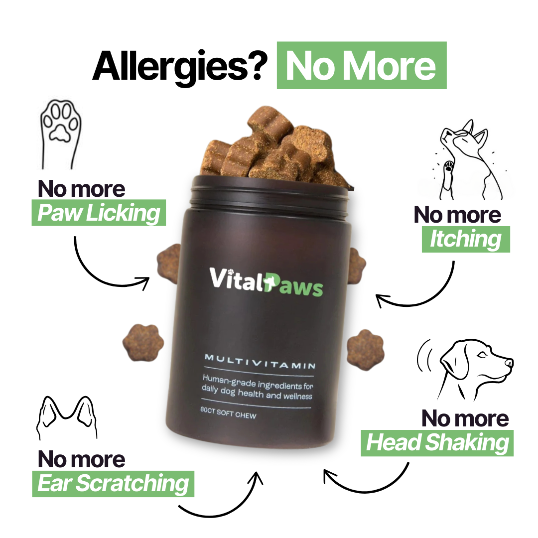 VitalPaws Facebook ad