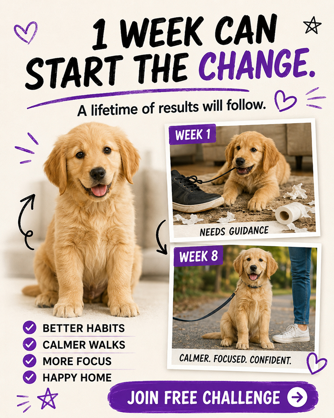 Ben Your Puppy Trainer Facebook ad