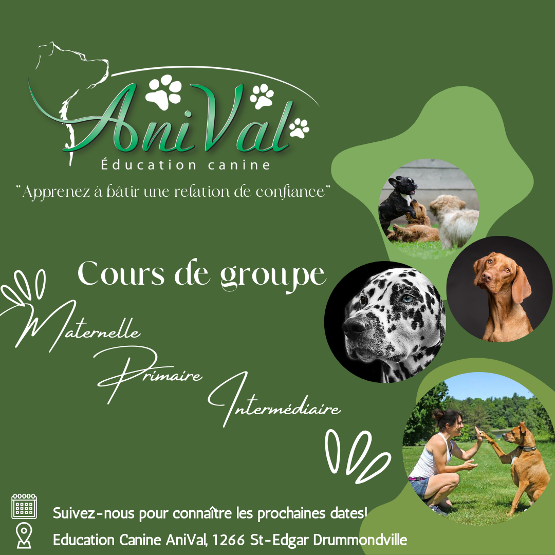 Éducation canine AniVal Facebook ad from Nov 30, 2024
