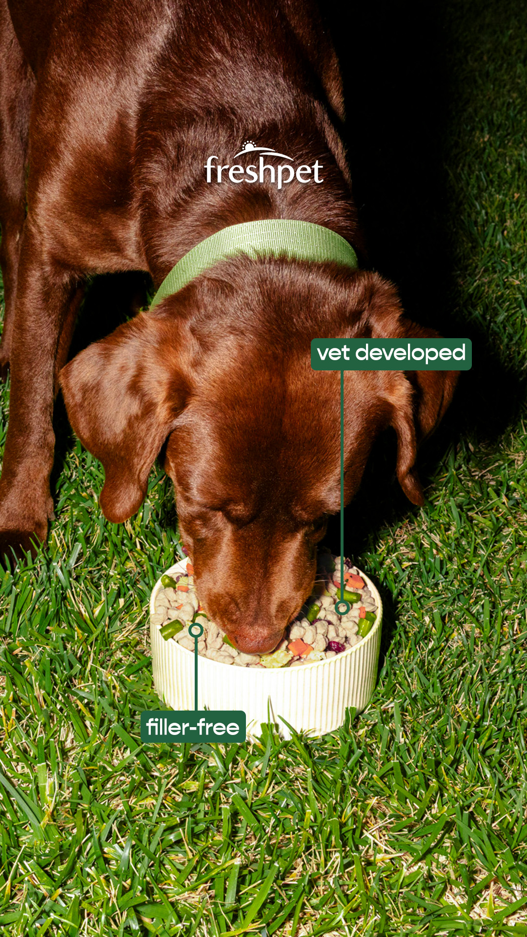 Freshpet Facebook ad