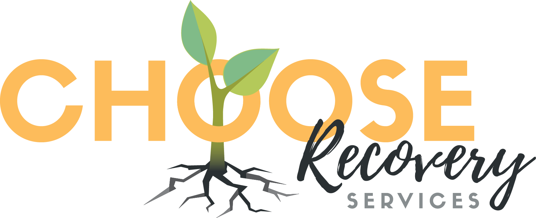 Choose Recovery Services Facebook ad