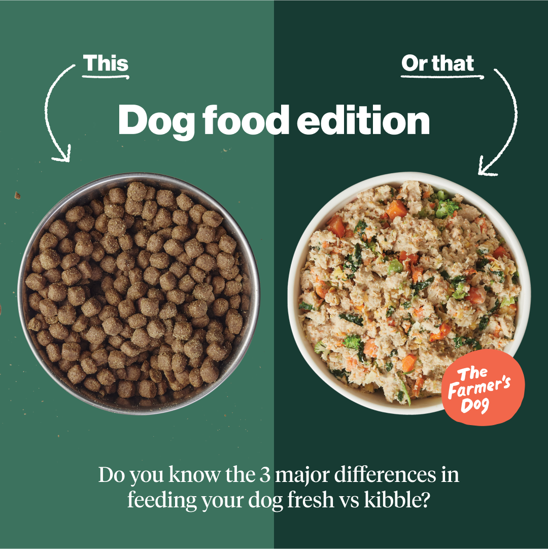 The Farmer's Dog Facebook ad