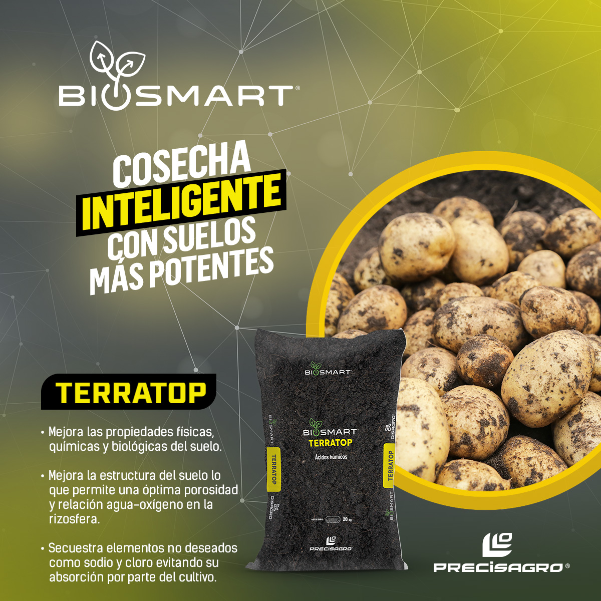 Precisagro Facebook ad: Tu suelo necesita vida para dar papas
