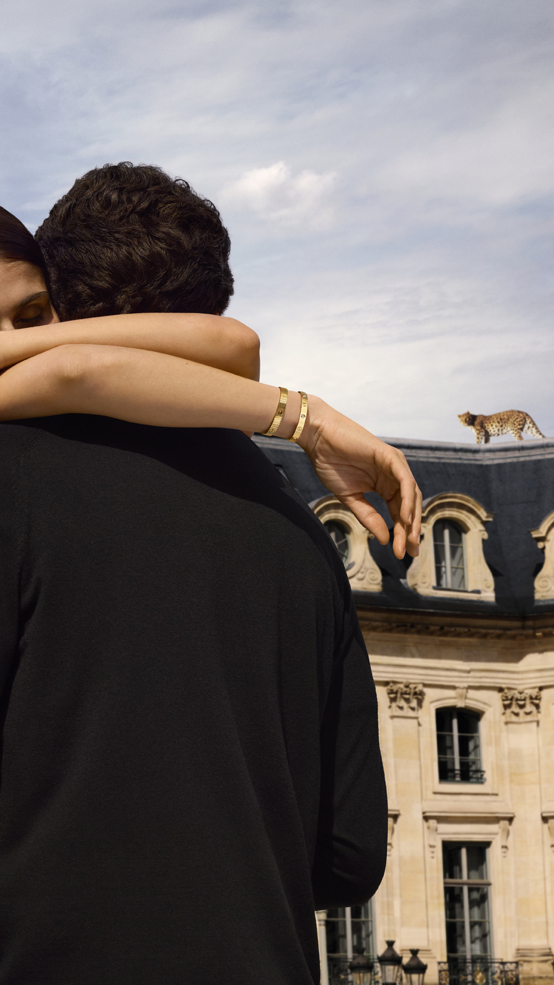Cartier Facebook ad