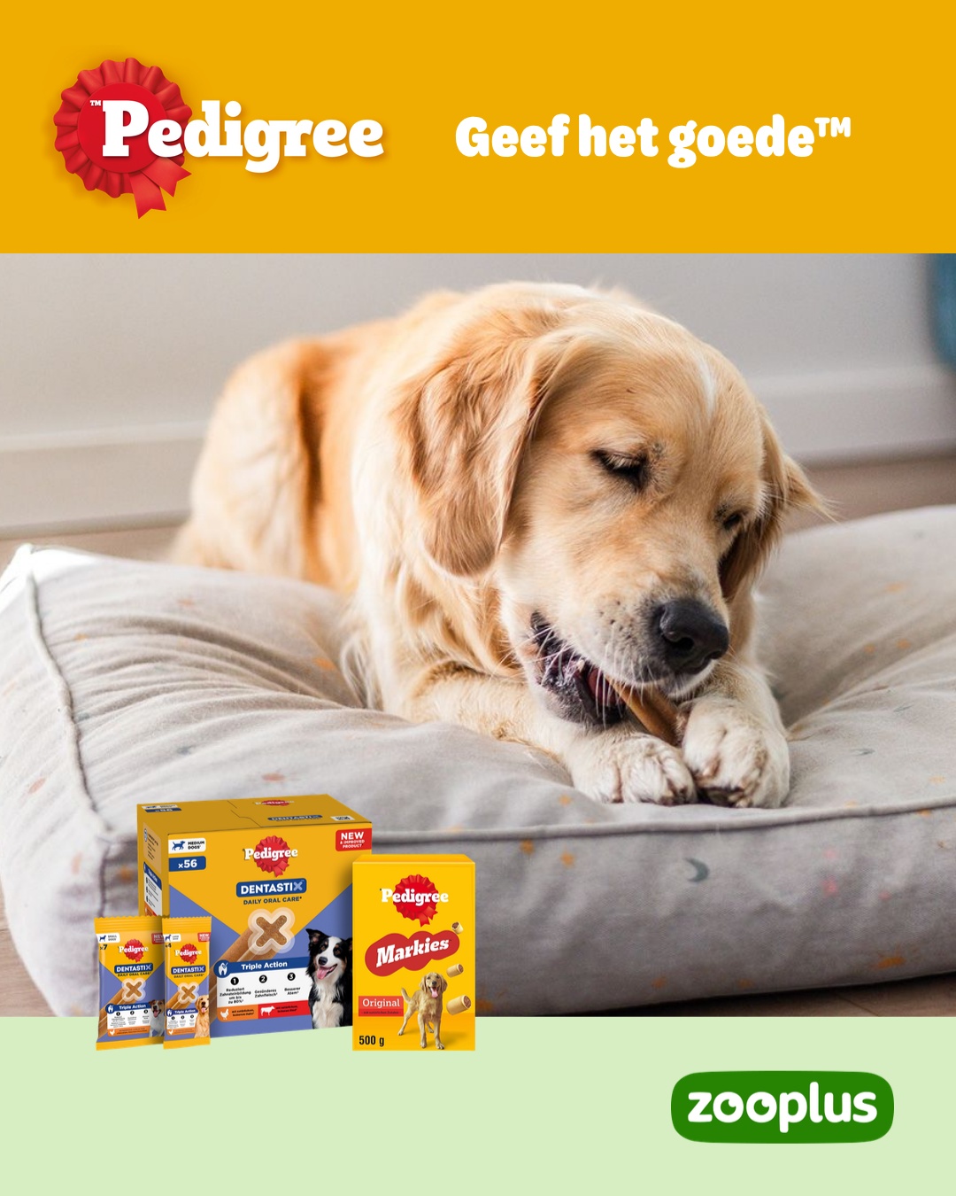 zooplus Facebook ad: PEDIGREE