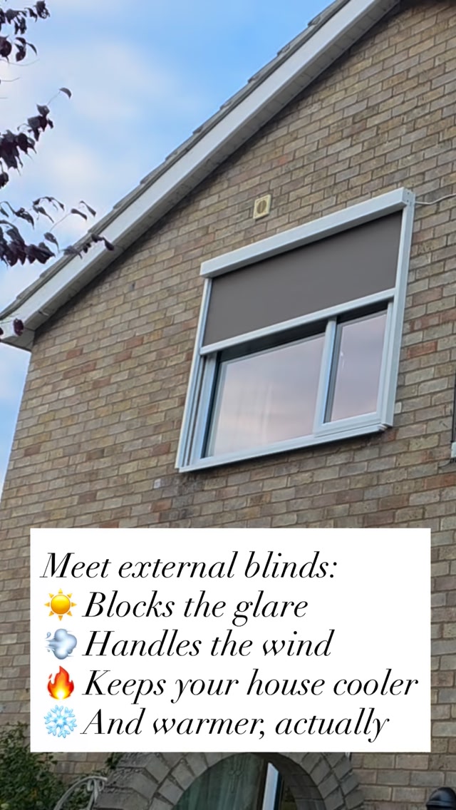 Lex Blinds Facebook ad from Jun 2, 2026
