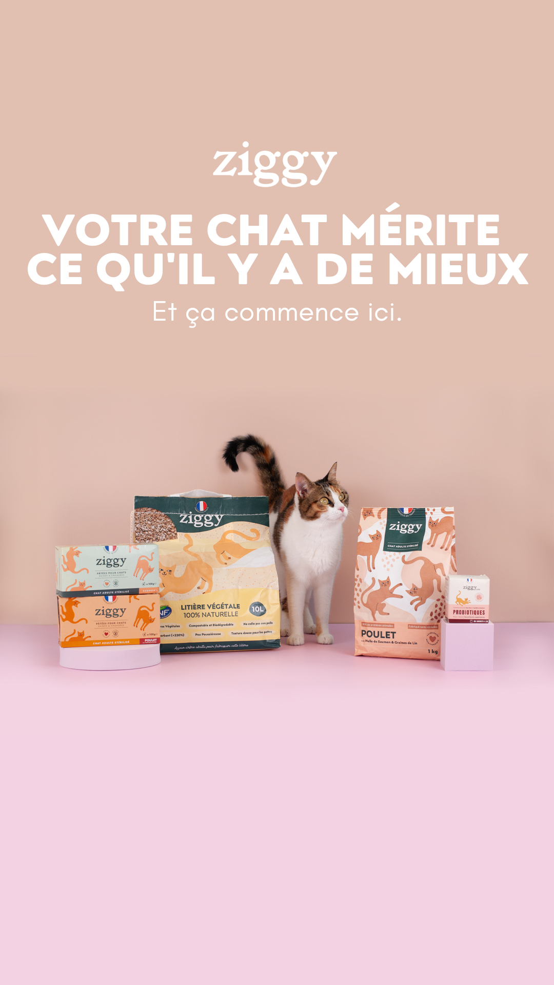 Ziggy Facebook ad
