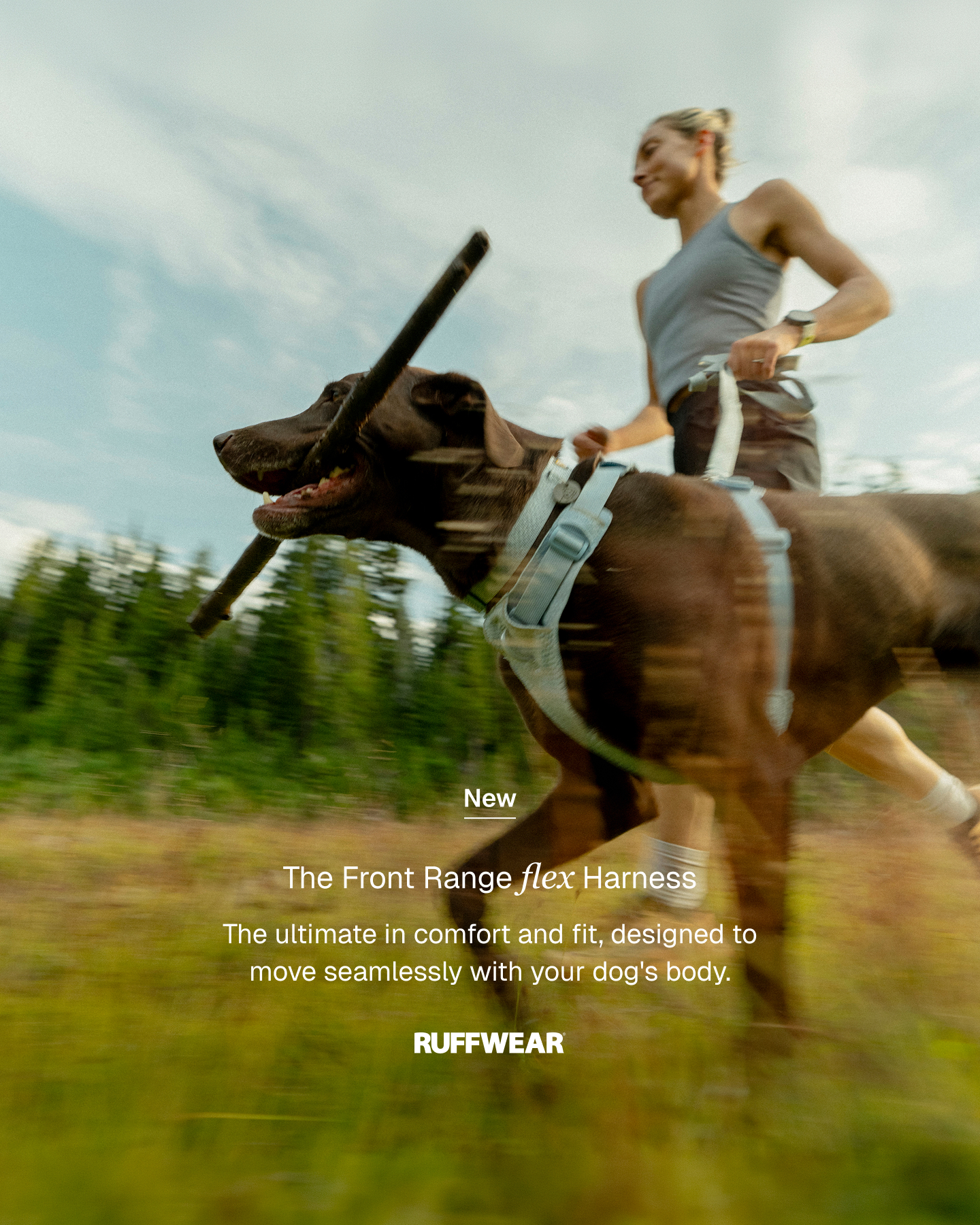 Ruffwear Facebook ad