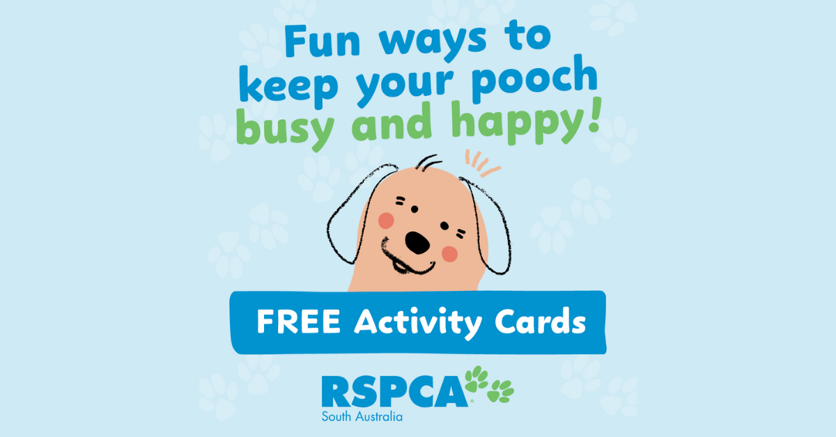 RSPCA South Australia Facebook ad