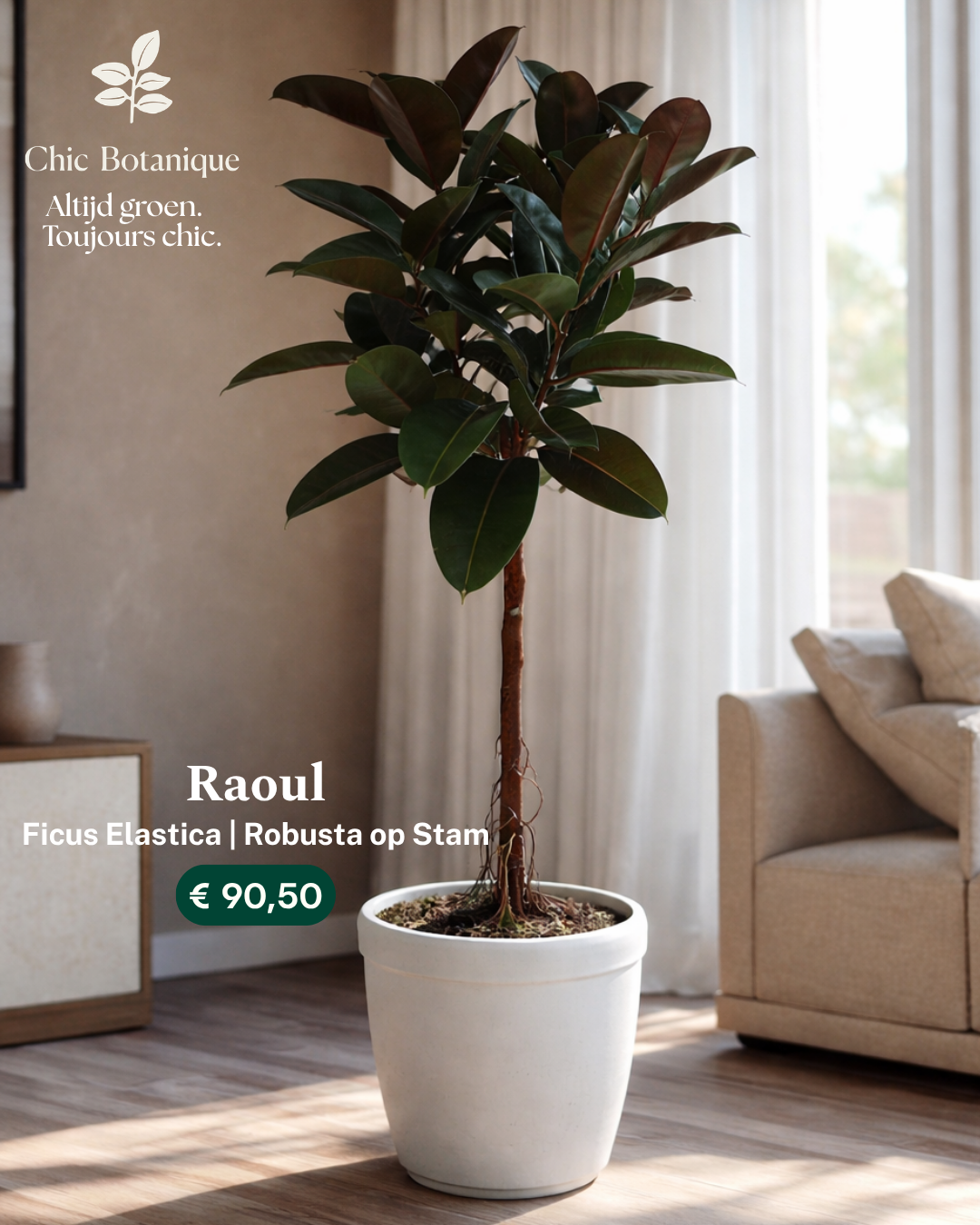 Chic Botanique Facebook ad