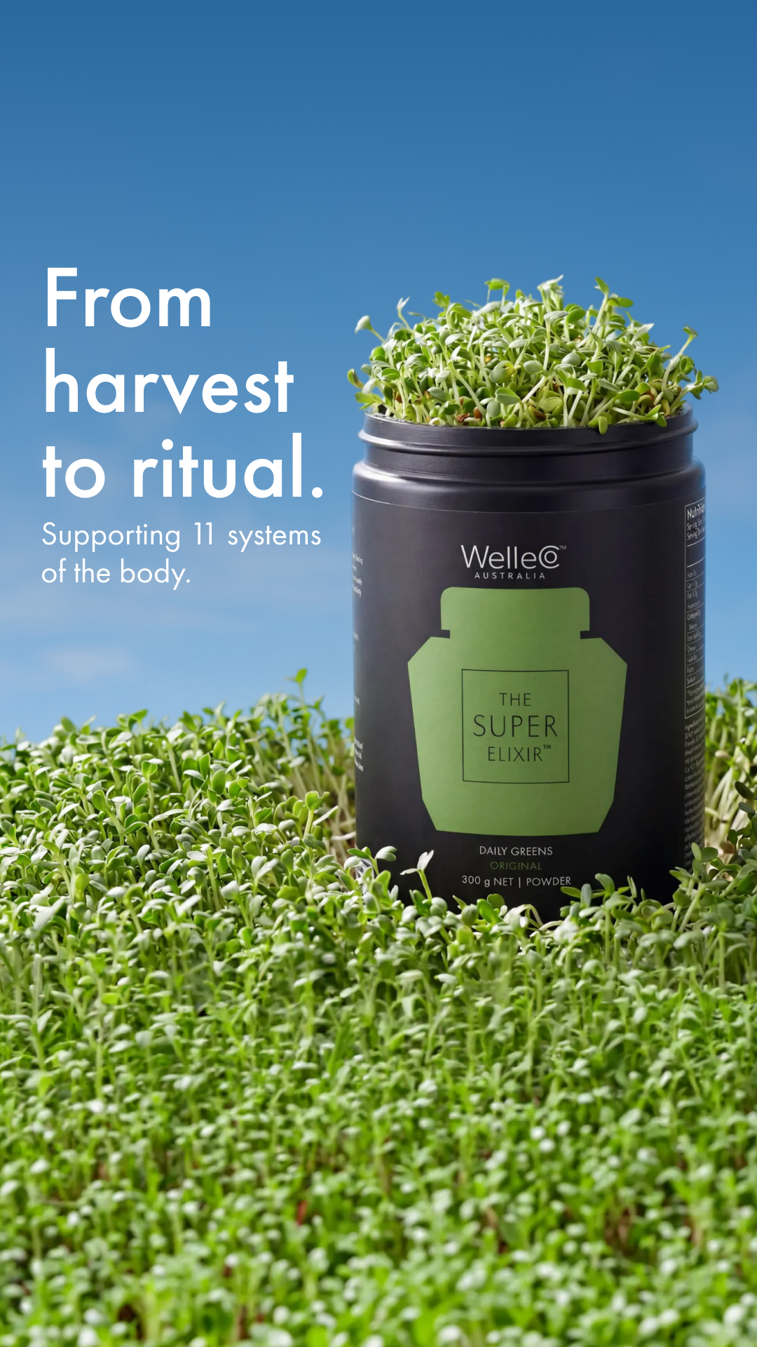 WelleCo Facebook ad