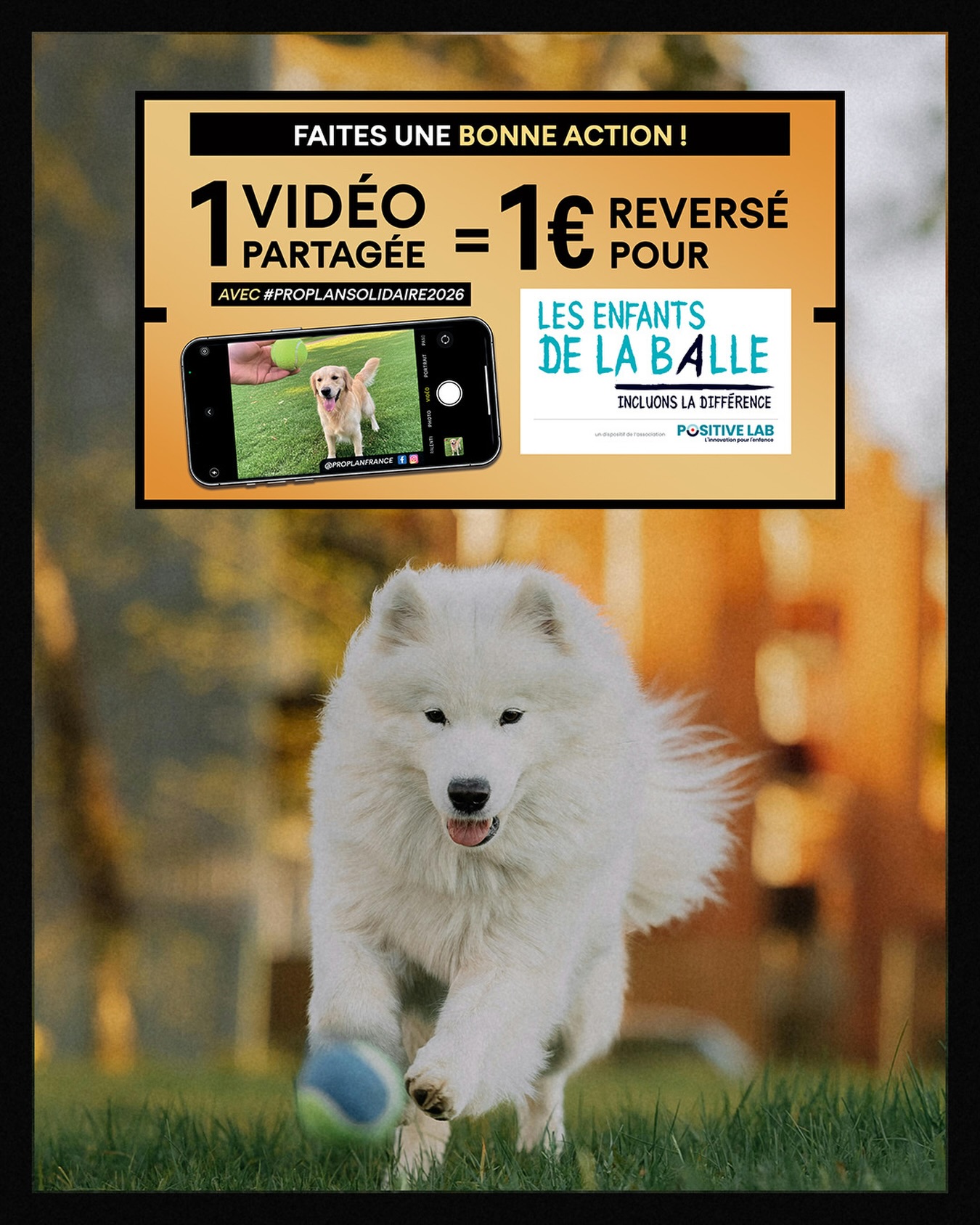 ProPlan France Facebook ad: Chez Pro Plan, on croit que chaque enfant…