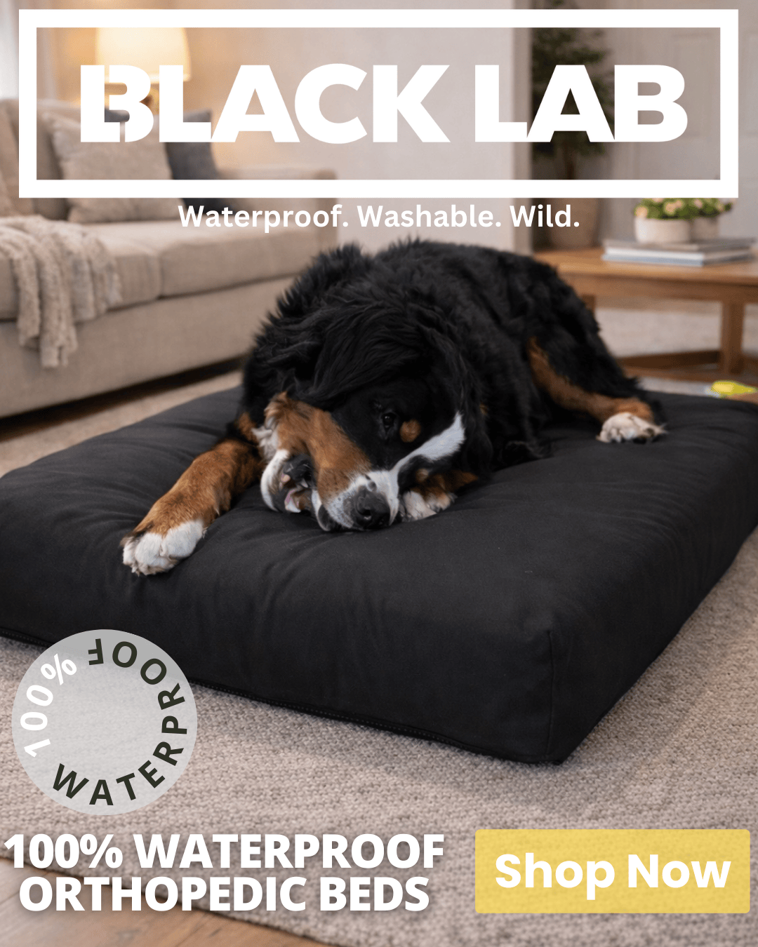 Black Lab Brands Facebook ad