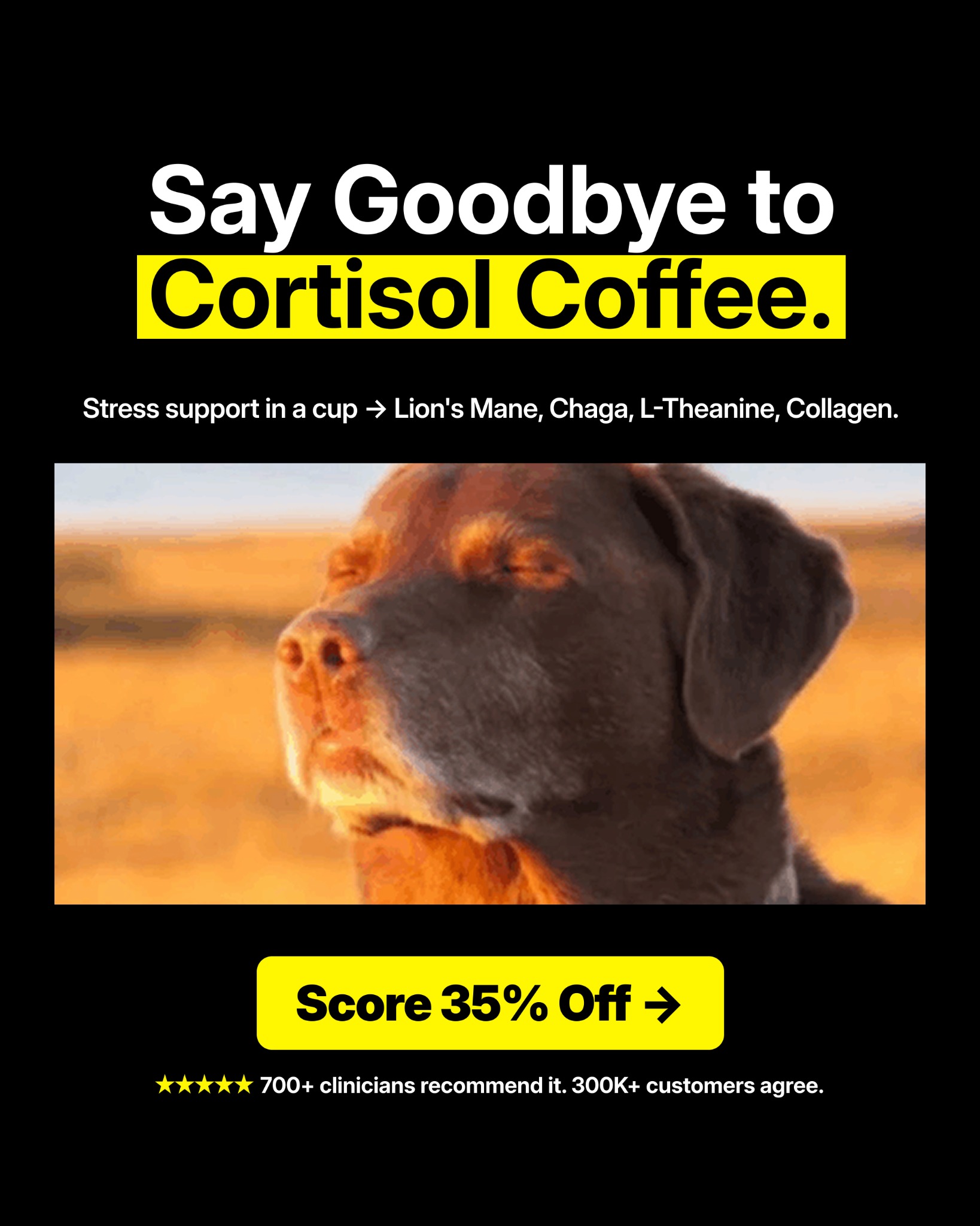 Everyday Dose Facebook ad