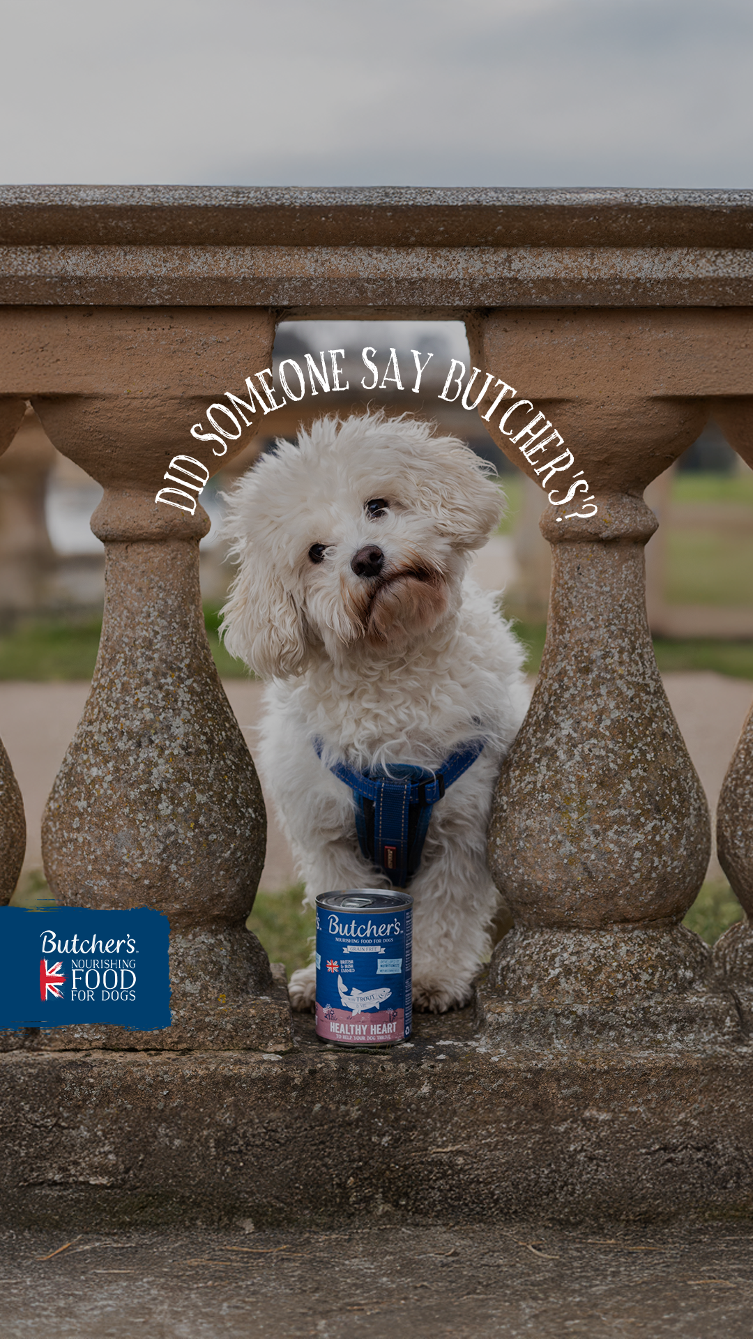 Butcher's Dog Food Facebook ad