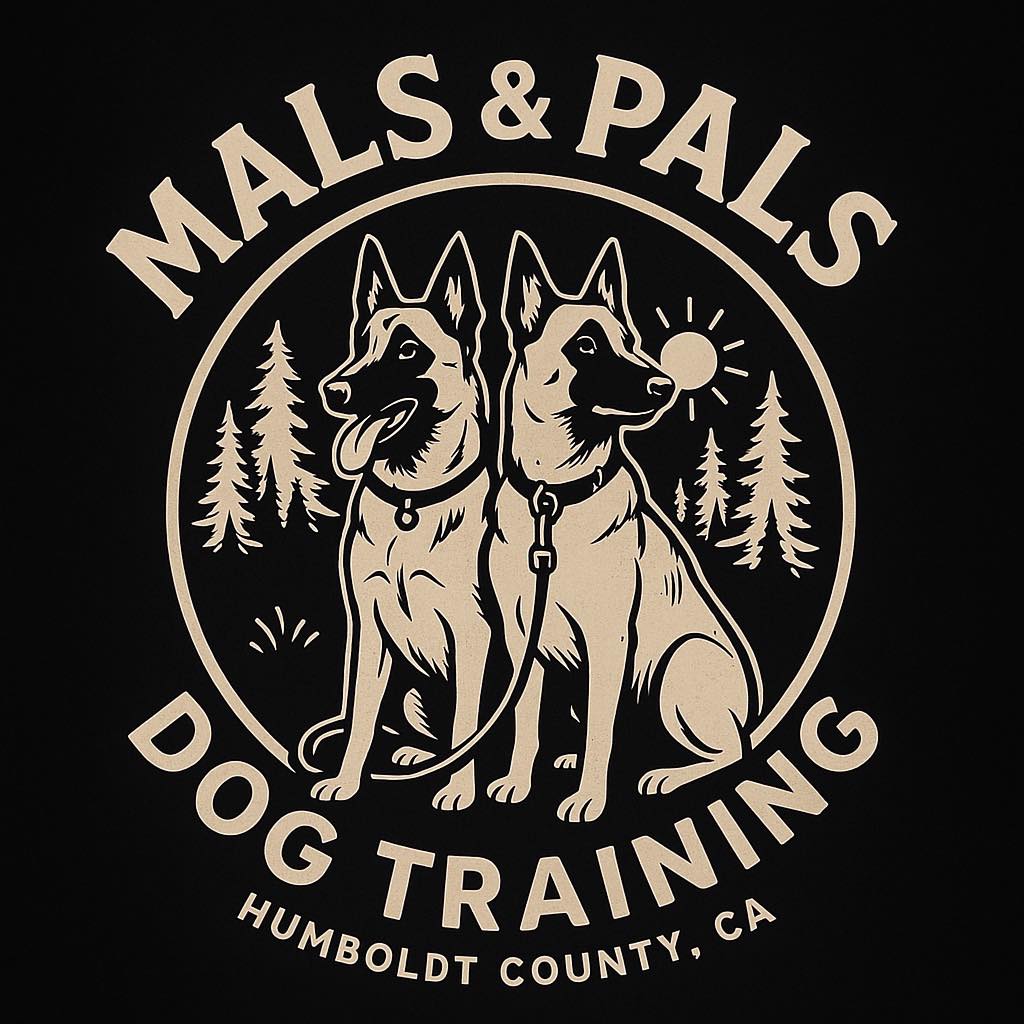 Mals & Pals Dog Training Facebook ad: Giving you and your pet exceptional training and…